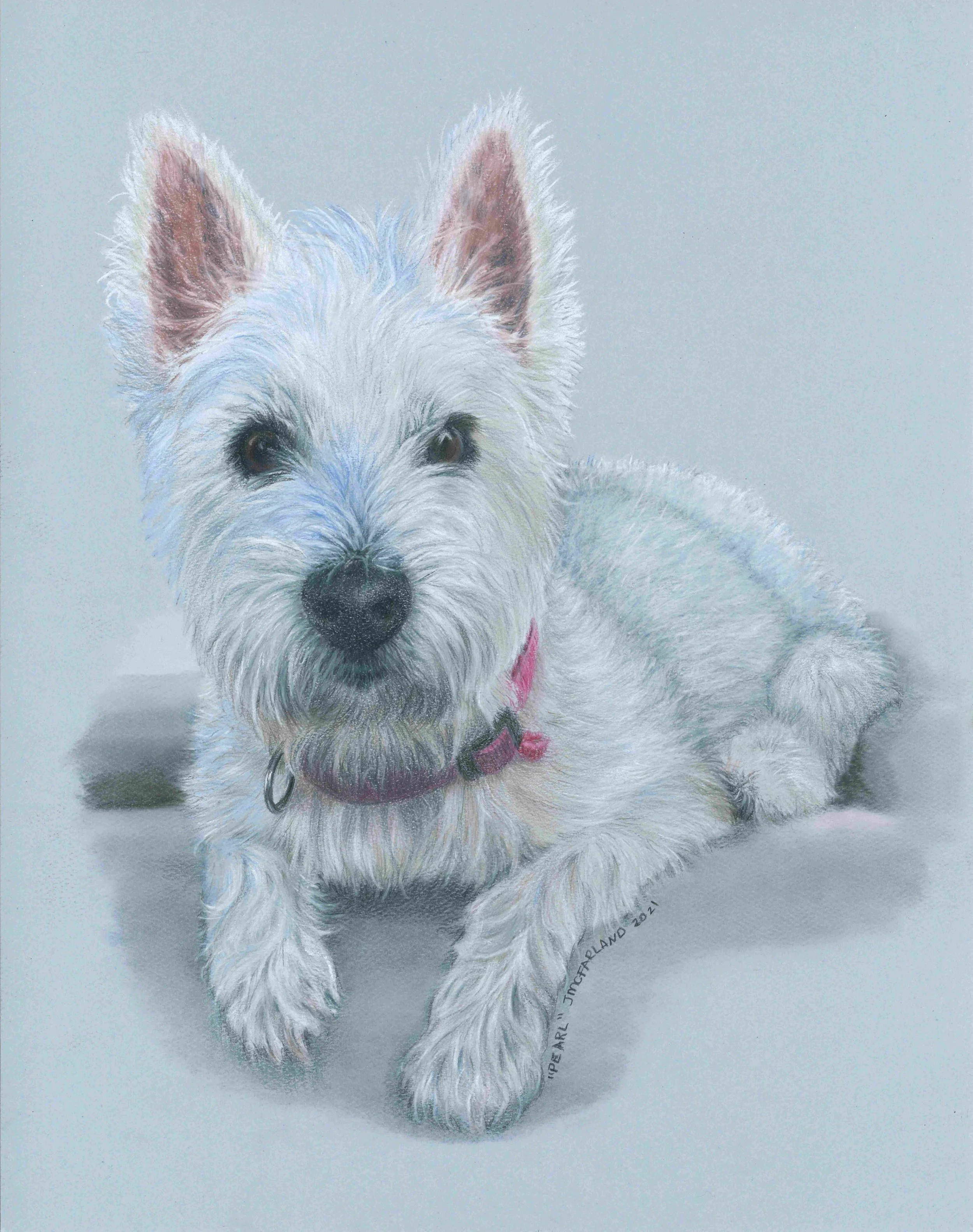 "Pearl" - 2021 - PanPastel and Colored Pencil on Pastel Paper - Memorial