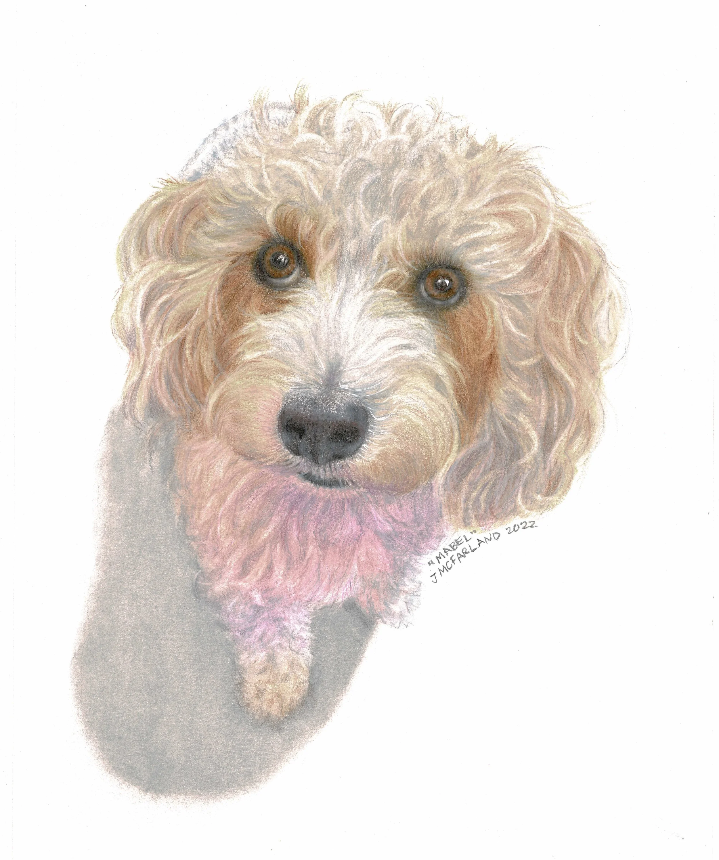 "Mabel" - 2022 - PanPastel and Colored Pencil on Canson 1557 Drawing Paper