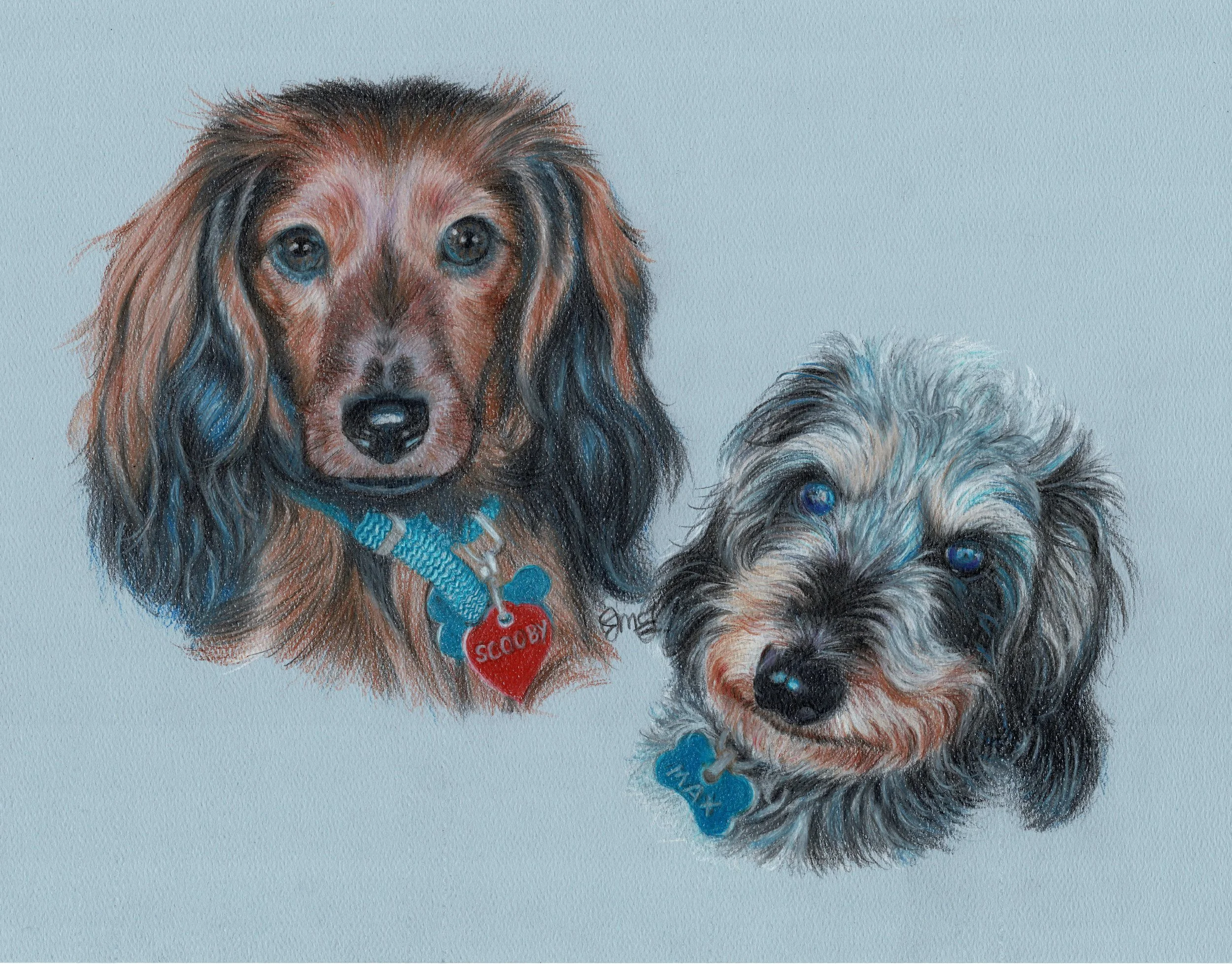 "Scooby and Max" - 2023 - Colored Pencil on Pastel Paper - Memorial