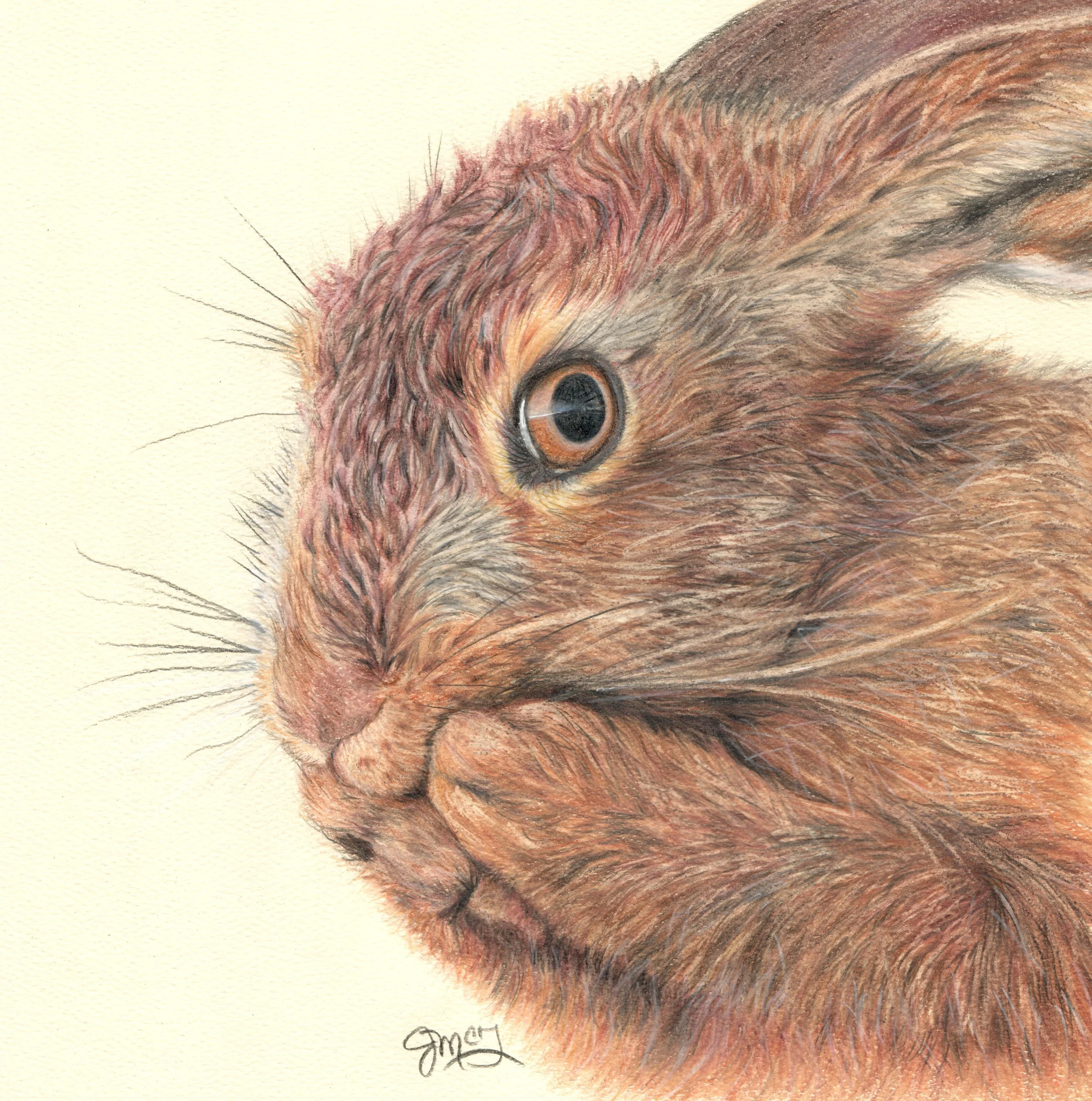 SOLD - "The Mouth Speaks What the Heart is Full of" - 2023  Colored Pencil on Pastel Paper. (Reference Photo Credit: Sue Cross) 9 x 10 Framed Original: $300 - SOLD. Giclee Prints Still Available. 
“A good man brings good things out of the good stored