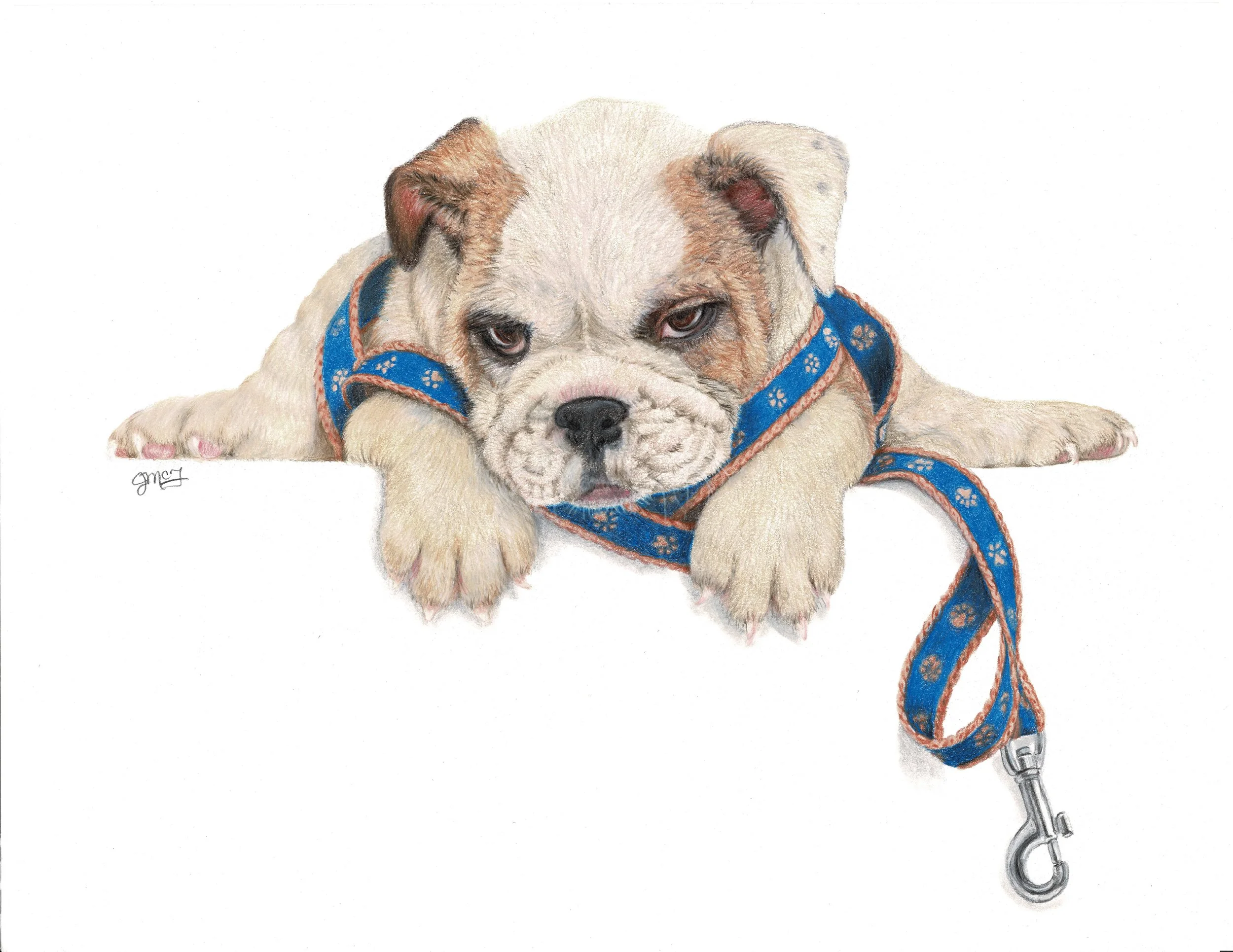 "Bulldog Blues" - Wildlife Whispers 2026 Colored Pencil and PanPastel on Stonehenge White Drawing Paper. (Licensed Shutterstock Reference Photo by Eric Isselee.) 10 x 13 Framed Original - $350. Limited Edition Giclee Prints Available. "The Lord is ne