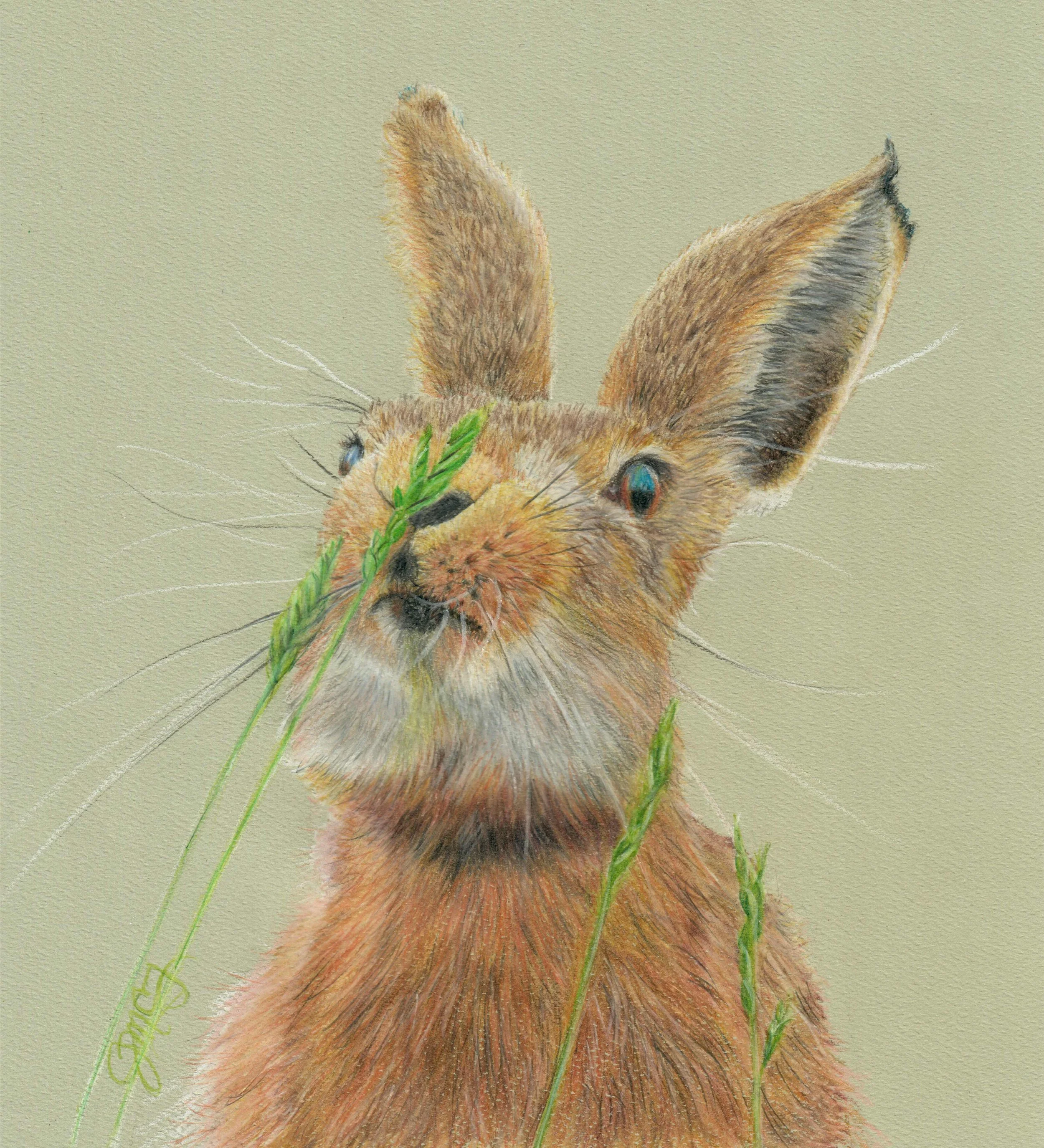 "Taste and See" - 2023  Colored Pencil on Pastel Paper. (Reference Photo Credit: Sue Cross.) 8 x 10 Framed Original: $200. Giclee Prints Available. 
“Oh, taste and see that the Lord is good!
Blessed is the man who takes refuge in him!”
- Psalm 34:8 (