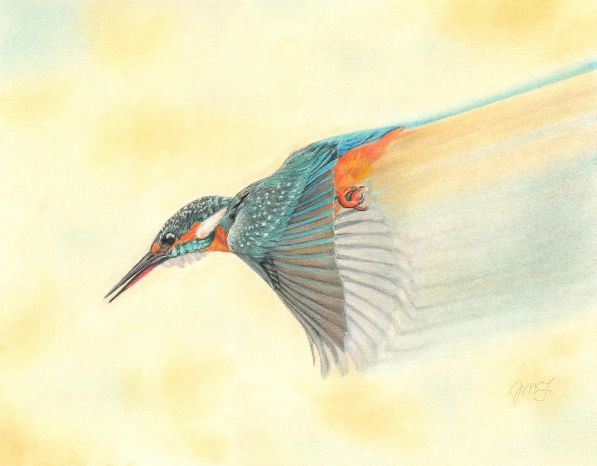 "Focused" - Wildlife Whispers - 2025 Colored Pencil and PanPastel on Stonehenge White Paper. (Reference Photo Credit: Les Liddle) 10 x 13 Framed Original: $350. Giclee Prints Available. 
“Let your eyes look straight ahead;
fix your gaze directly befo