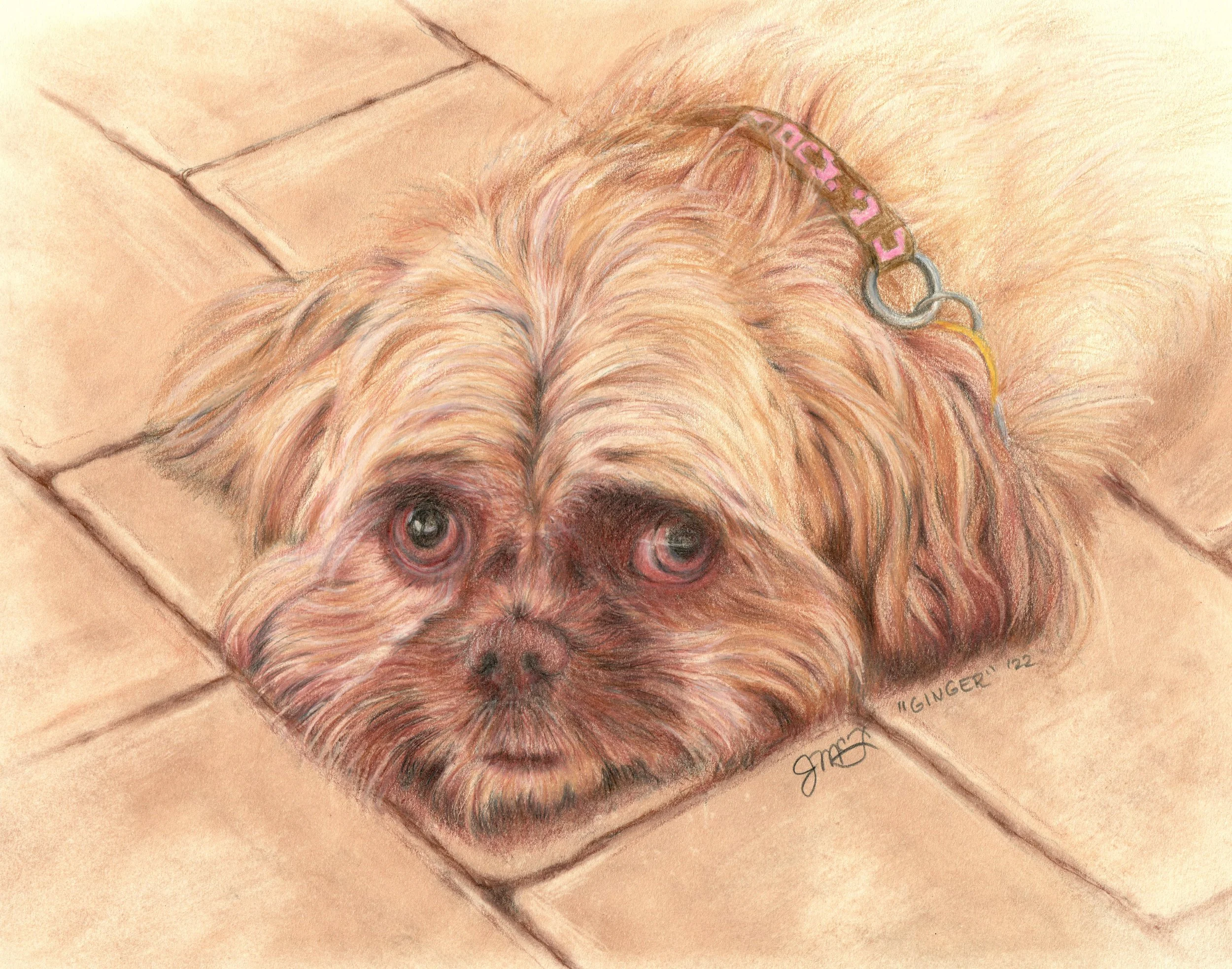 "Ginger" - 2022 - Colored Pencil on Pastel Paper