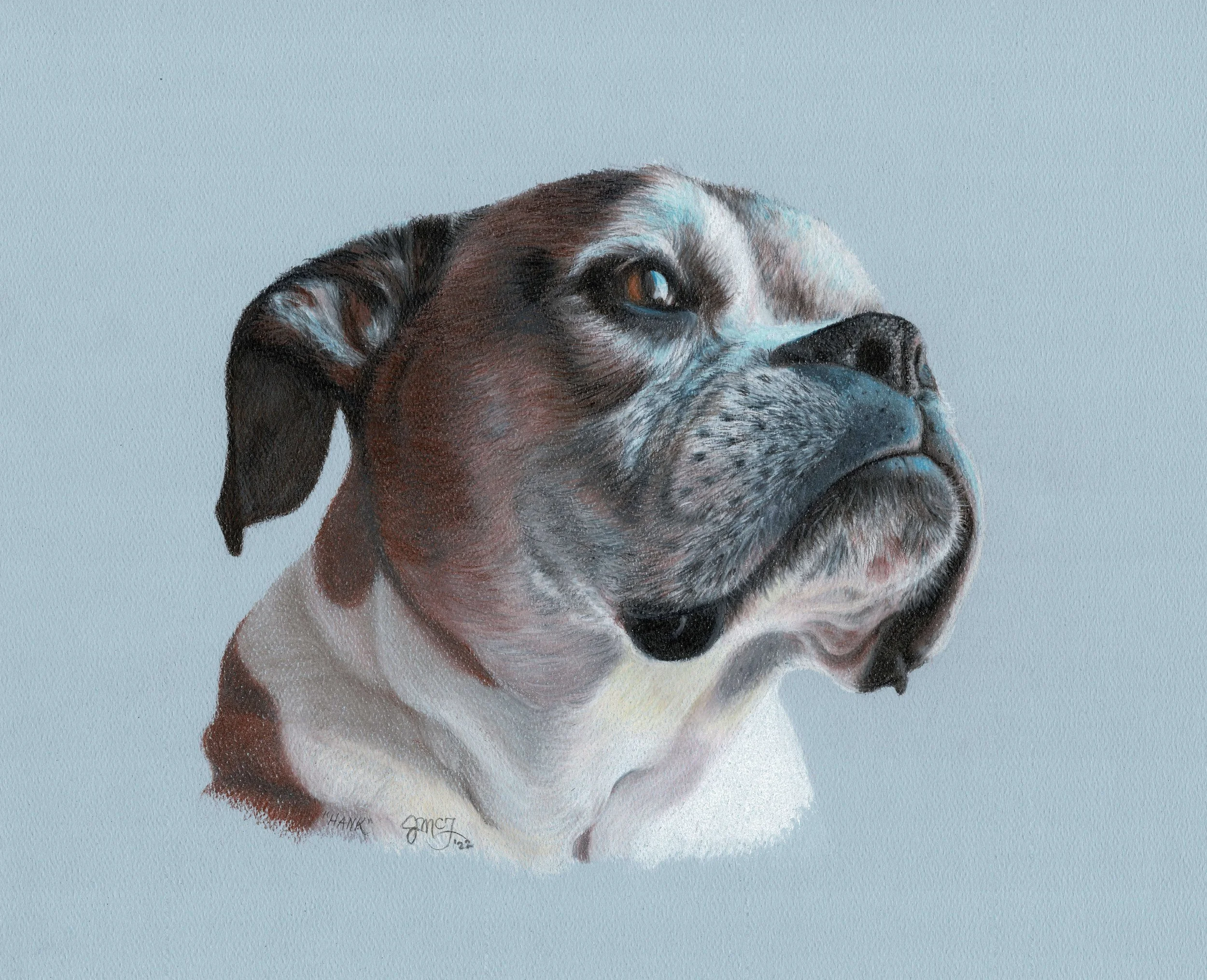 "Hank" - 2022 - Colored Pencil on Pastel Paper -
 Memorial