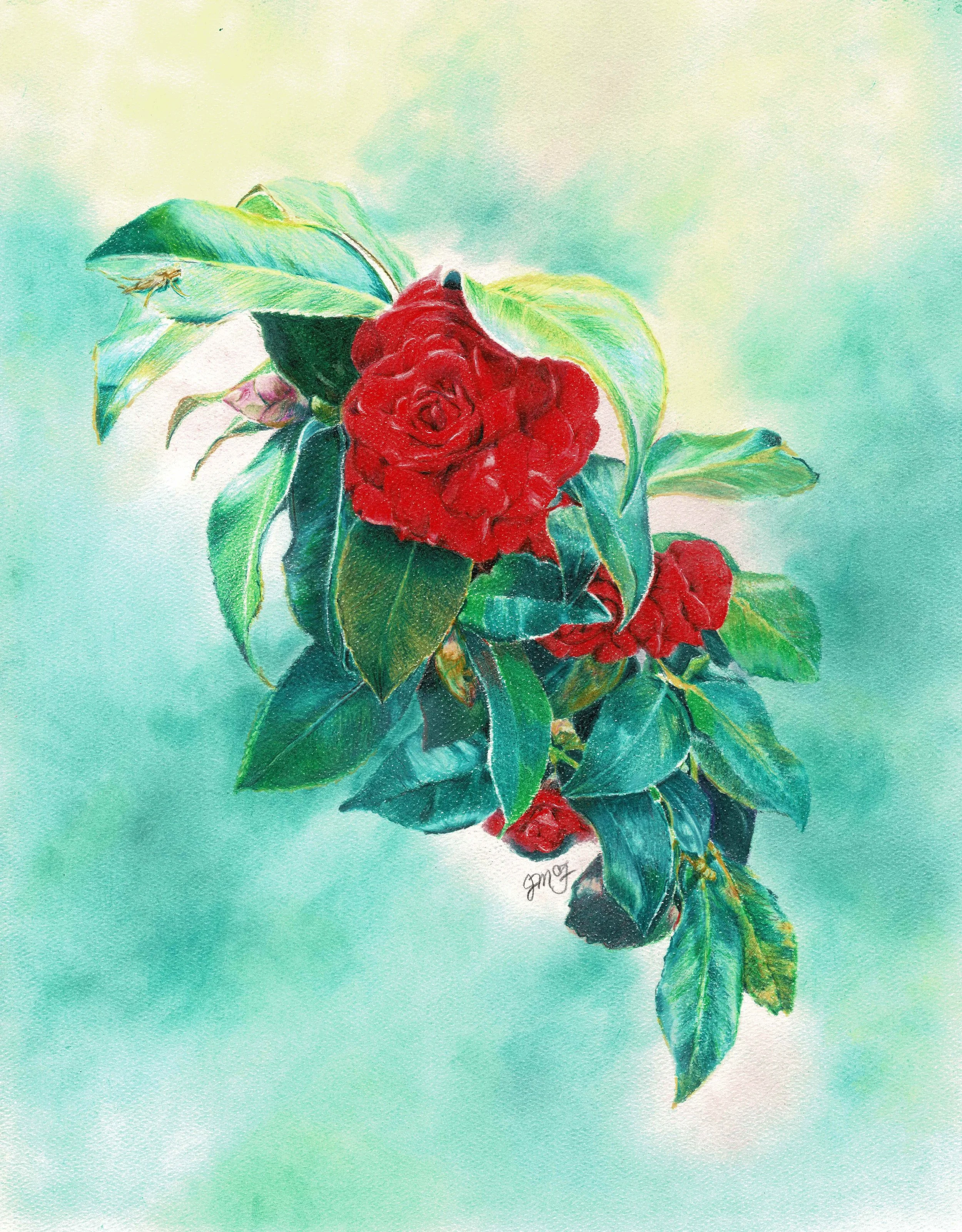 "The Flower Fades" - Wildlife Whispers - 2024 Colored Pencil and PanPastel on Pastel Paper. 11 x 14 Framed Original: $350. Giclee Prints Available.
“The grass withers, the flower fades, but the word of our God will stand forever.”
- Isaiah 40:8 (ESV)