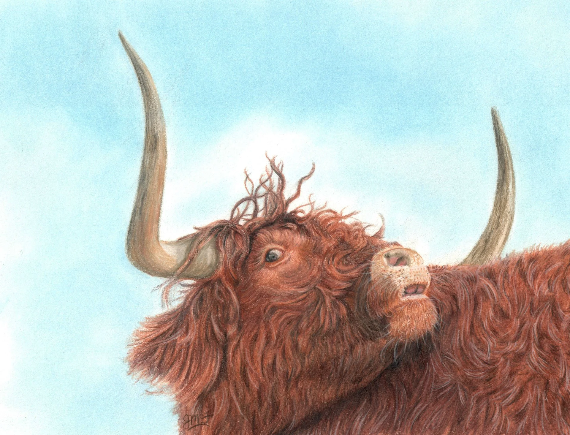 "Fear Not" - Wildlife Whispers - 2025 Colored Pencil and PanPastel on Stonehenge White Paper. (Reference Photo Credit: Les Liddle) 8 x 10 Framed Original: $275. Giclee Prints Available. "So do not fear, for I am with you; do not be dismayed, for I am