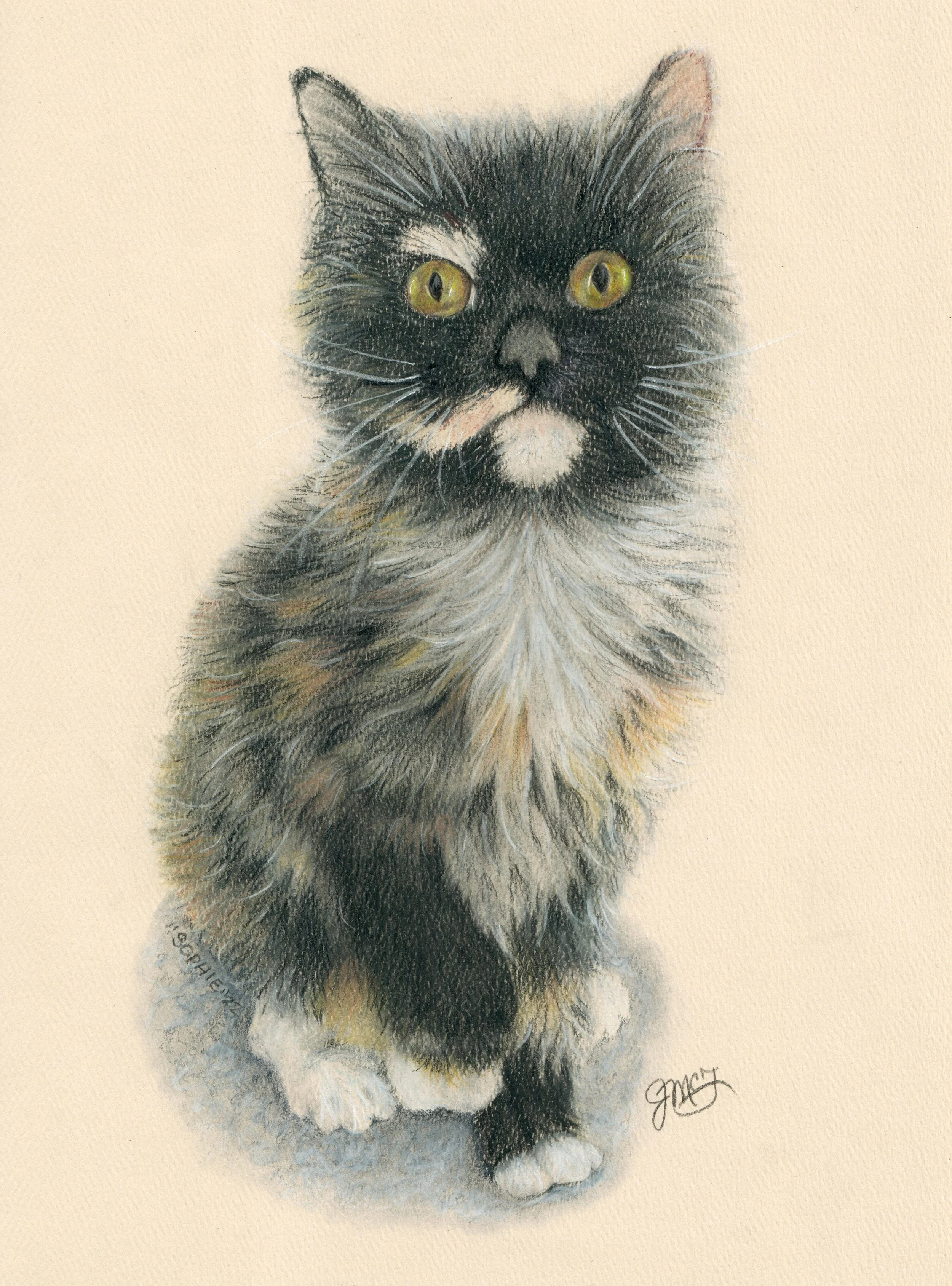 "Sophie" - 2022  - Pastel Pencil and Colored Pencil on Pastel Paper
