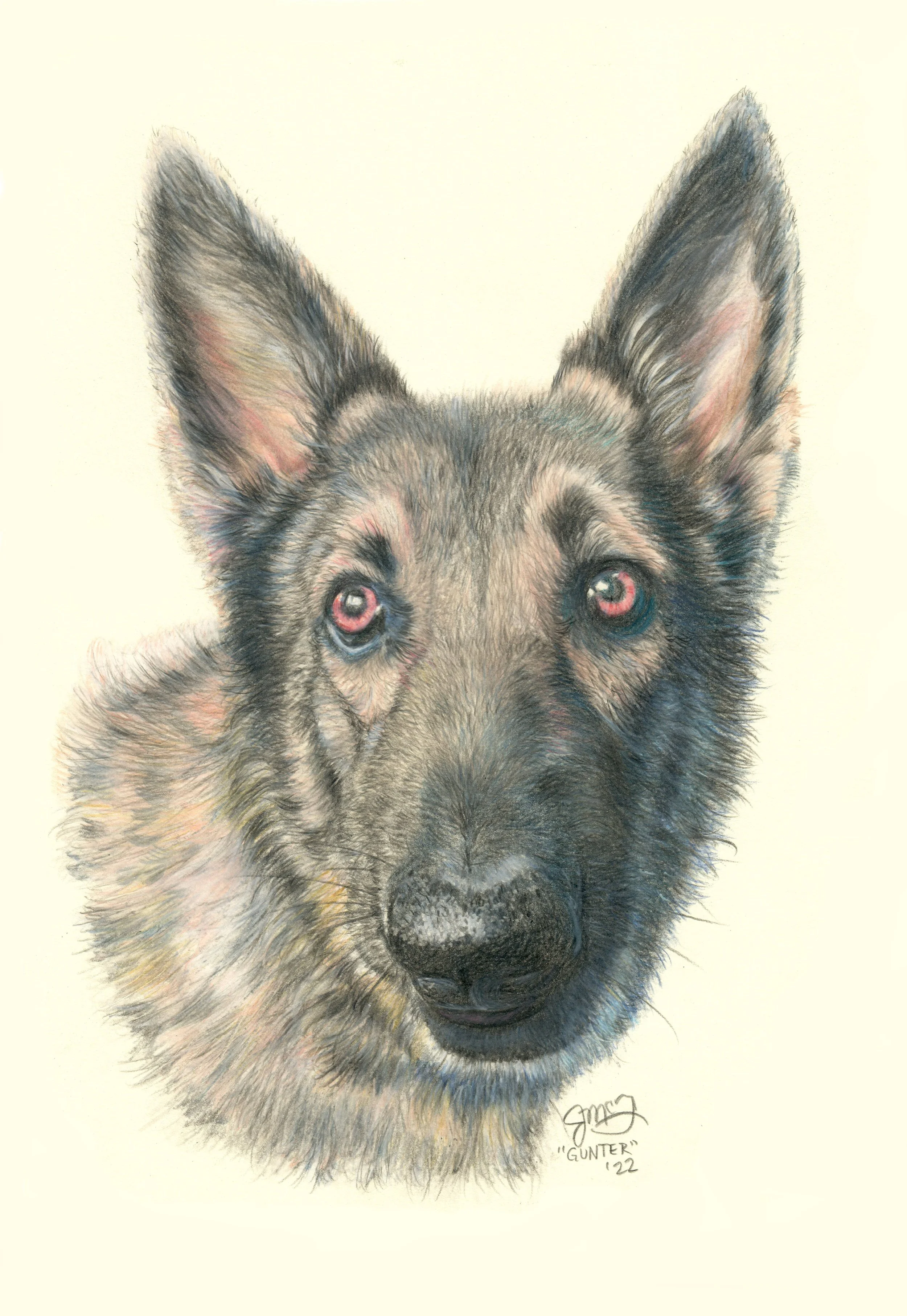 "Gunter" - 2022 - Colored Pencil on Strathmore Drawing Paper