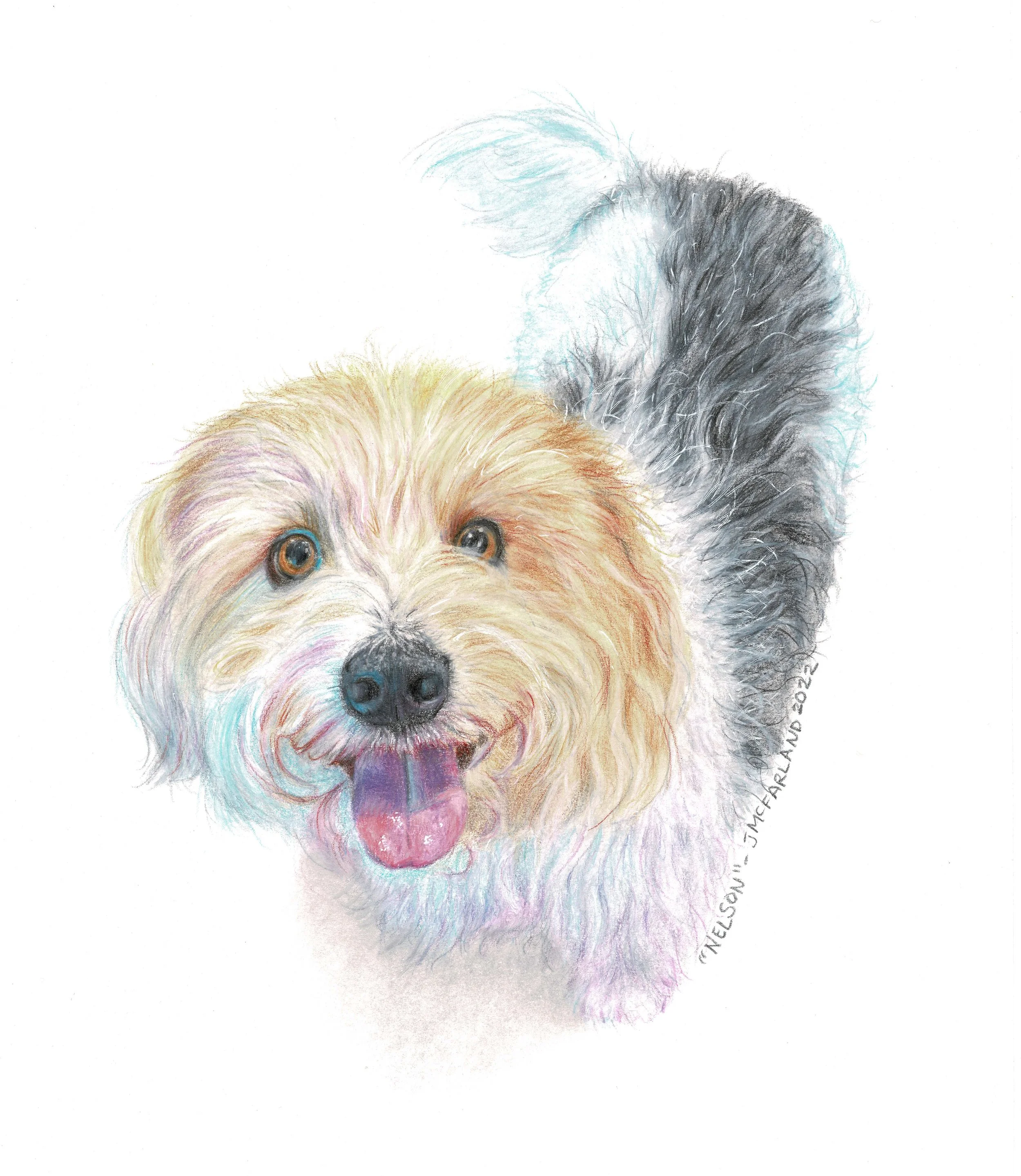 "Nelson" - 2022 - PanPastel and Colored Pencil on Canson 1557 Drawing Paper