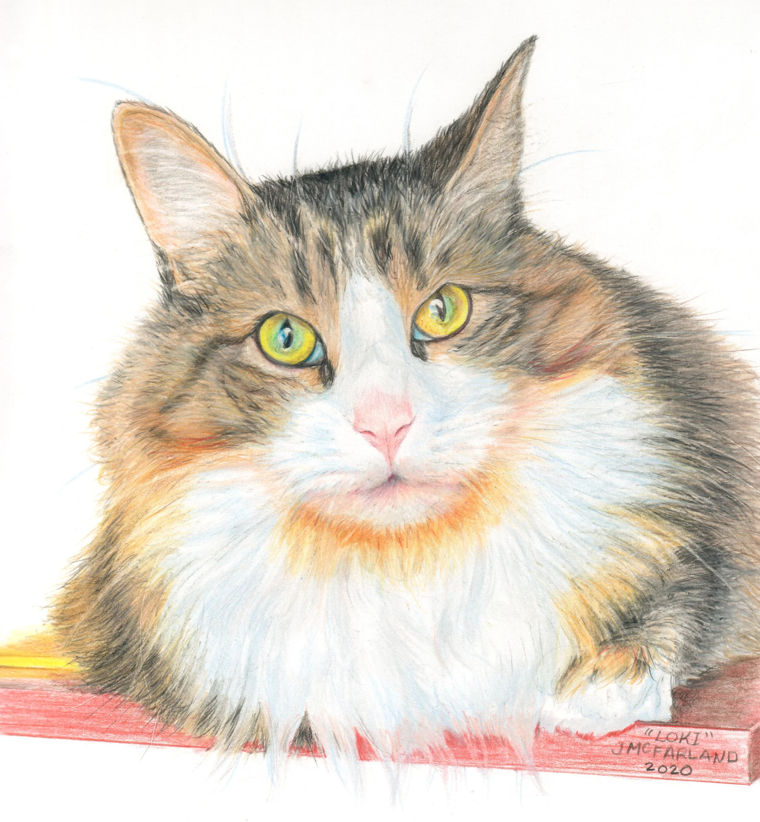 "Loki"  - 2020 - 
Colored Pencils on Strathmore Smooth Bristol Paper