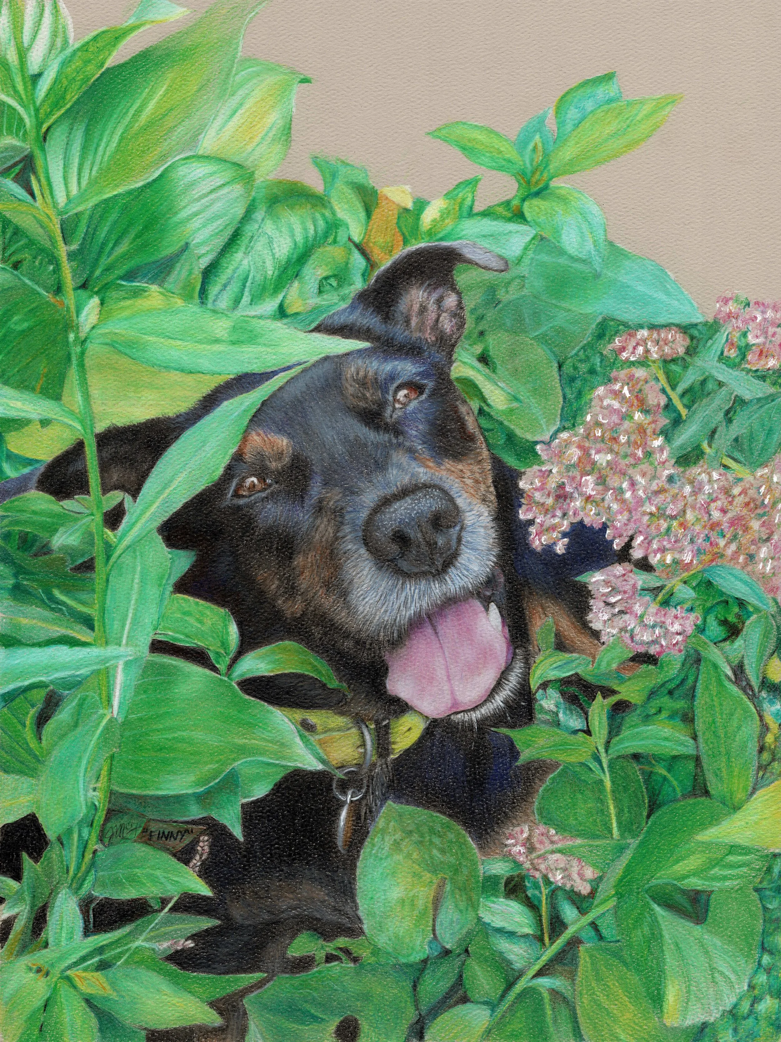 "Finding Finny" - 2023 - Colored Pencil on Pastel Paper - Memorial