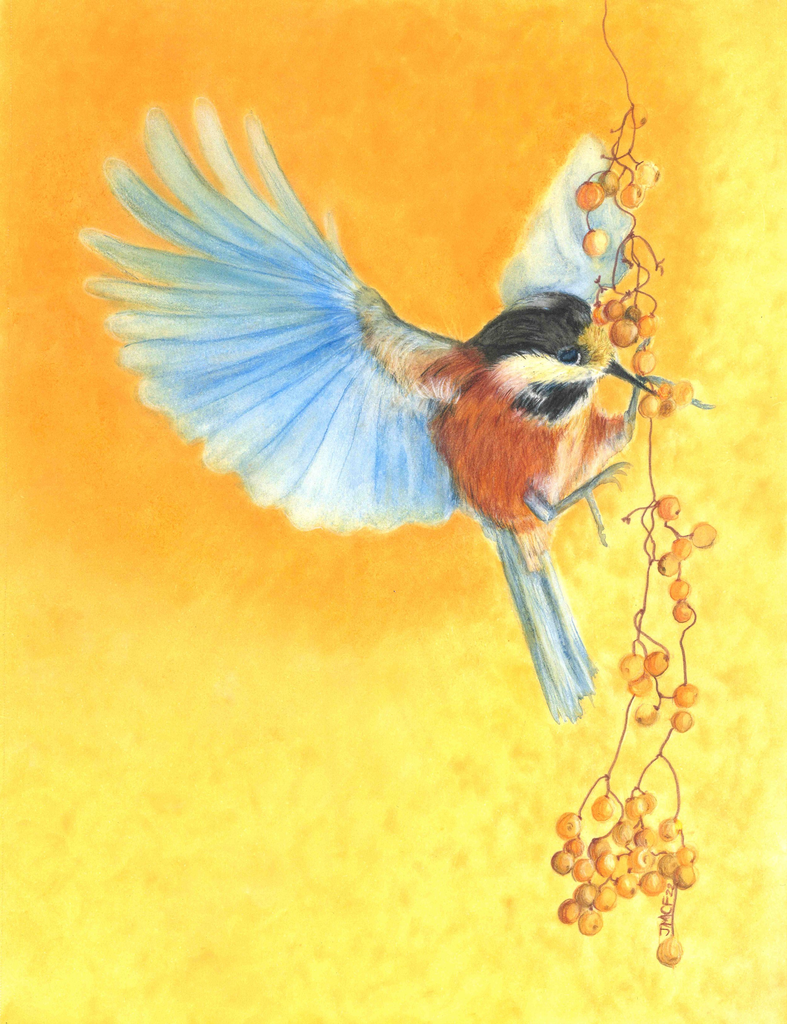 SOLD - "Hummingbird and Berries" - 2022
PanPastel and Derwent Watercolor Pencils on Strathmore Multi Media Paper. 9 x 12 Framed Original: $275 - SOLD. Giclee Prints Still Available.
"Consider the ravens: They do not sow or reap, they have no storeroo