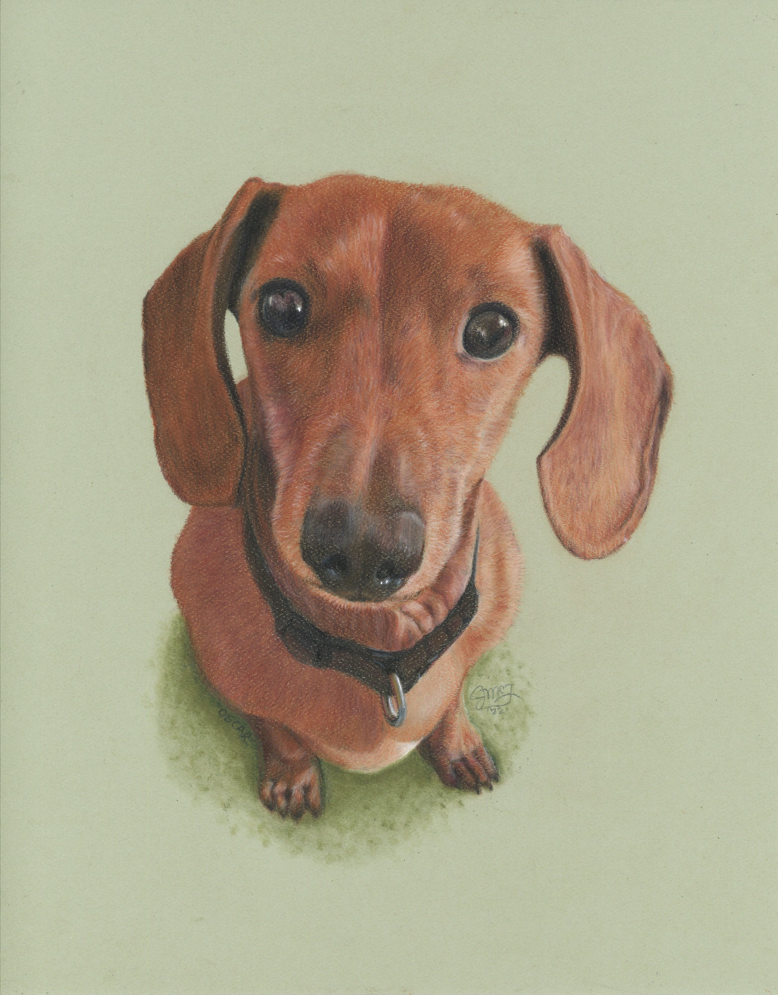 "Oscar" - 2022 - PanPastels and Colored Pencils on Pastel Paper - Memorial