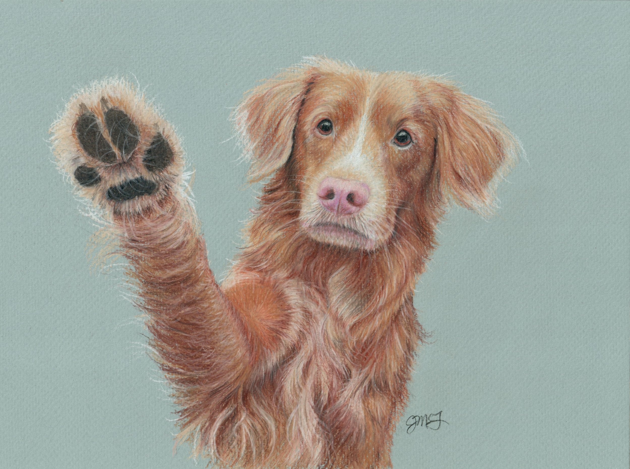 ORIGINAL SOLD - LIMITED EDITION PRINTS STILL AVAILABLE. "The Volunteer" - Wildlife Whispers - 2025 Colored Pencil and PanPastel on Rembrandt Pastel Paper. Reference Photo Credit: Thiago Diaz. 8 x 10 Framed Original - $275 - SOLD. Limited Edition Gicl