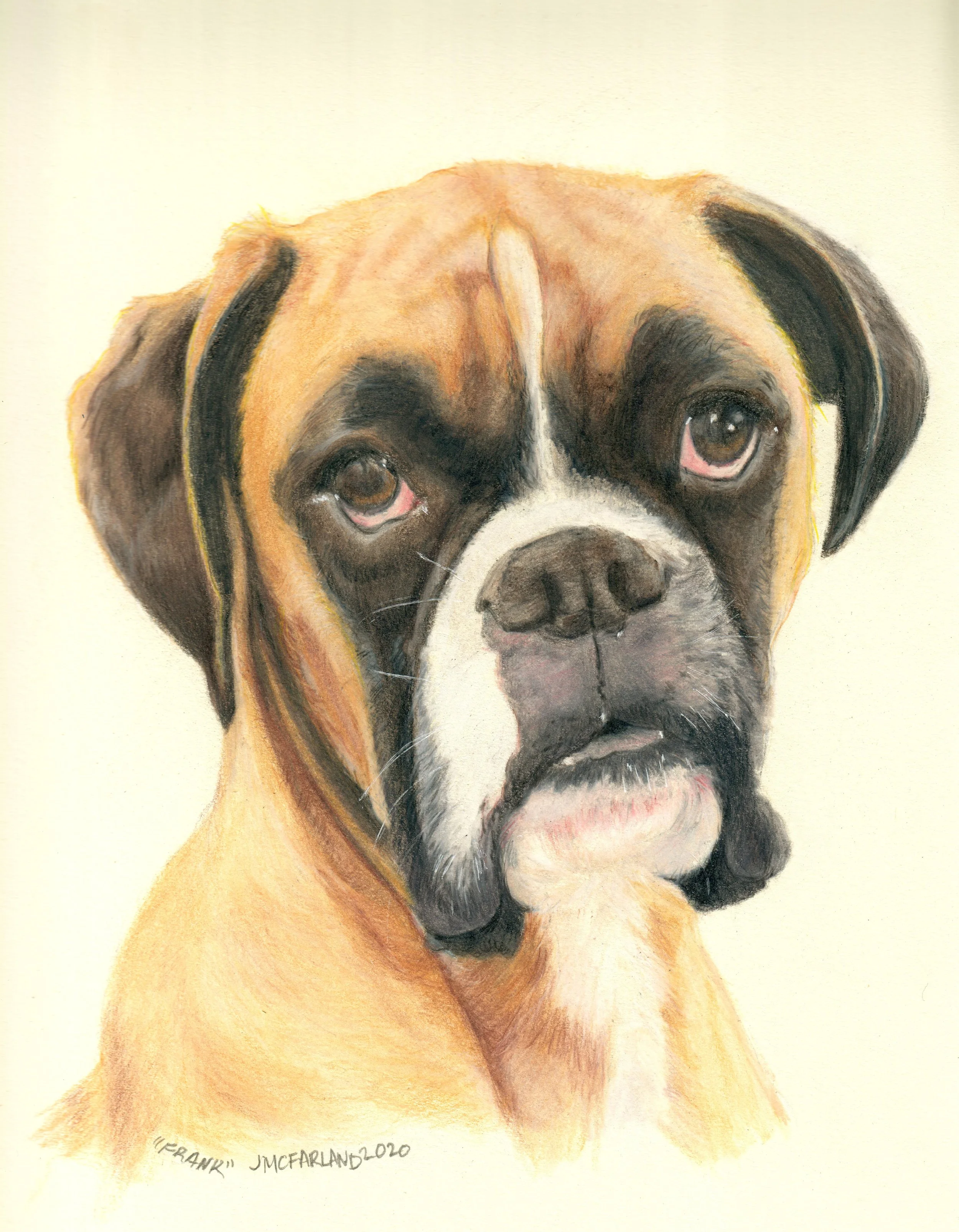 "Frank" - 2020 - Colored Pencil on Strathmore Drawing Paper
