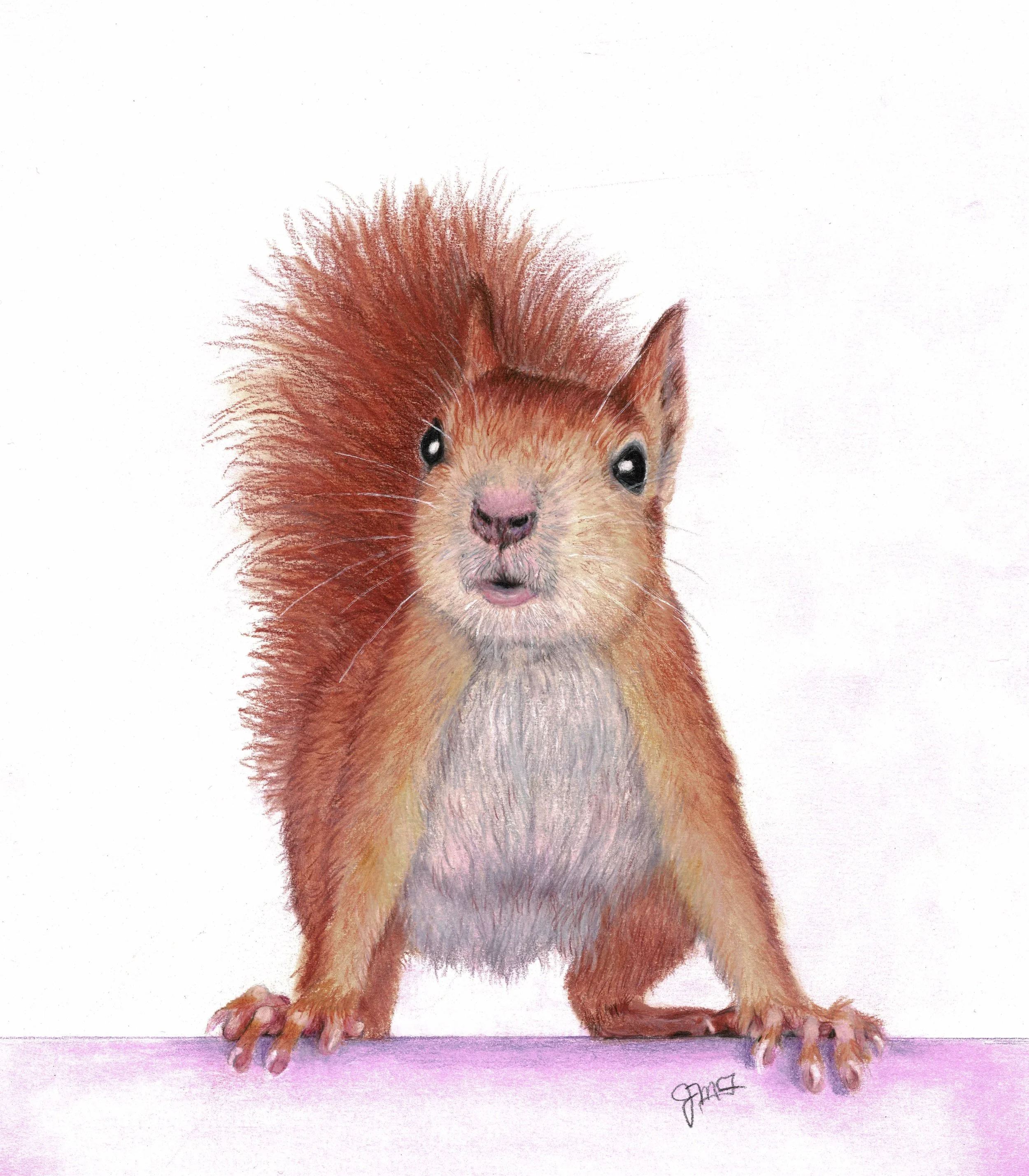 "Fear Not" Little Squirrel - Wildlife Whispers - 2026 Colored Pencil and Pan Pastel on Canson Drawing Paper. (Licensed Shutterstock Reference Photo by Nynke van Holten.) 8 x 10 Framed Original - $275. Limited Edition Giclee Prints Available. "And he 