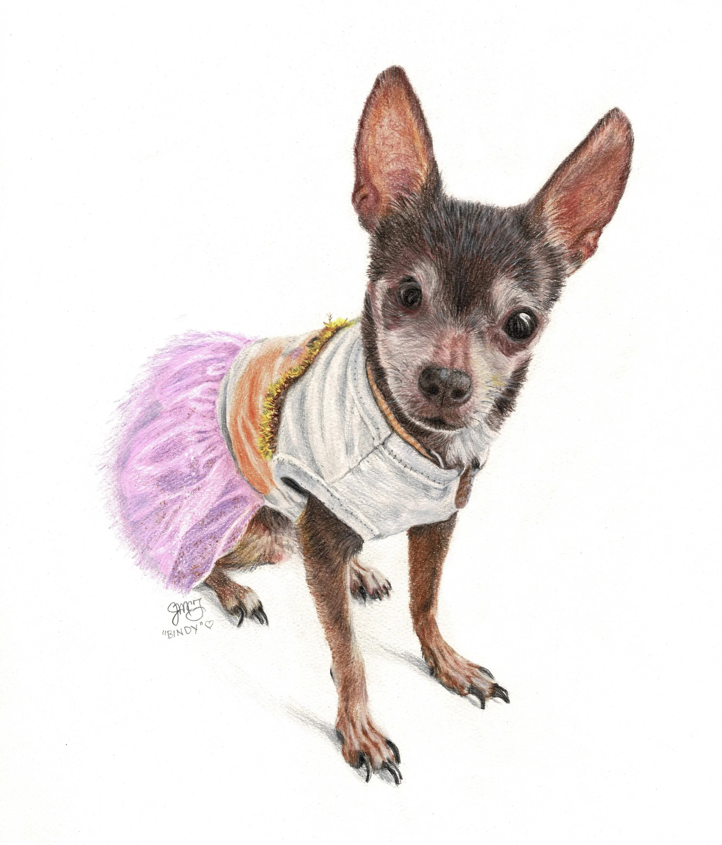 "Bindy" - 2023 - Colored Pencil on Pastel Paper - Memorial