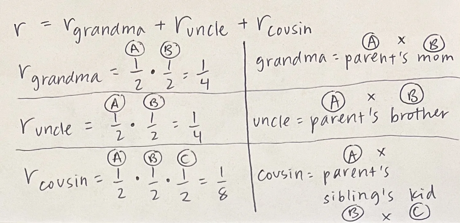 How to Solve Hamilton's Rule Problems 100 Accuracy Every Time — Six