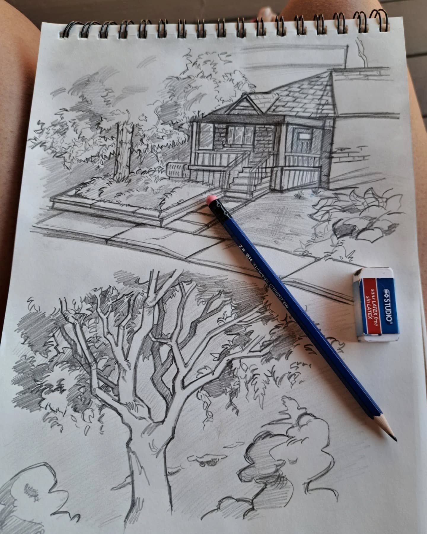 Outdoor studies from this long weekend! Make sure to get out and enjoy the fresh air if you can, better yet, if you have some company! π
I've loved sketching since I was young, and still get giddy whenever there is fresh paper and a pencil involved
