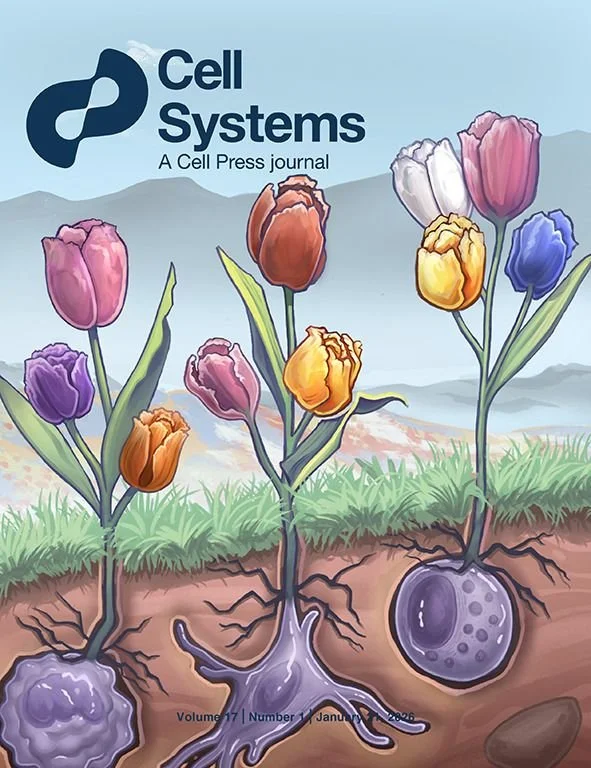 Final round draft that was selected