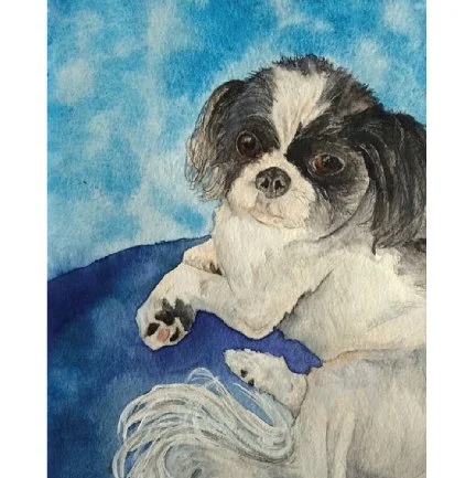 watercolor of black and white small dog loungind on dark blue blanket with light blue background