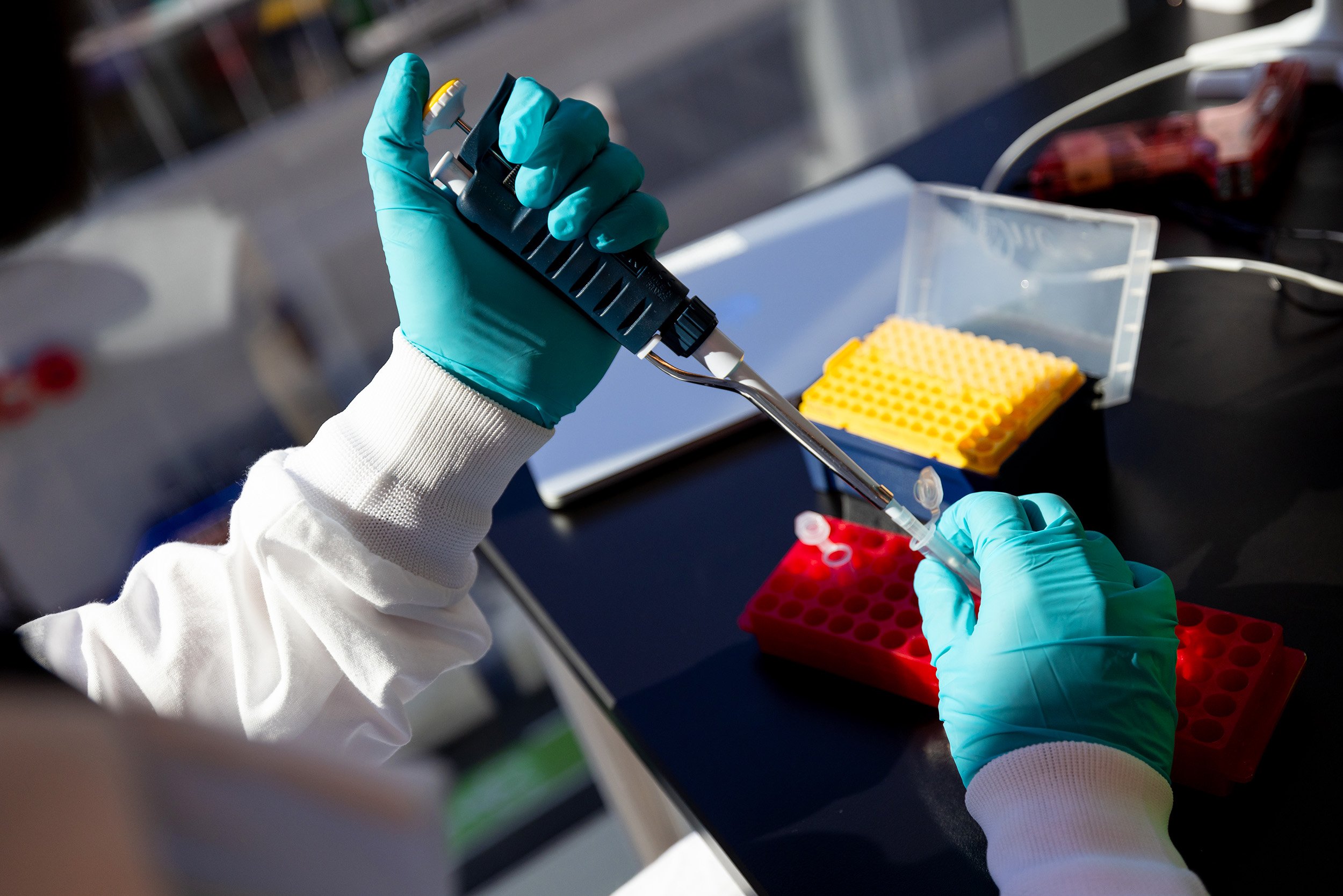 Hands wearing gloves working in Biotech lab