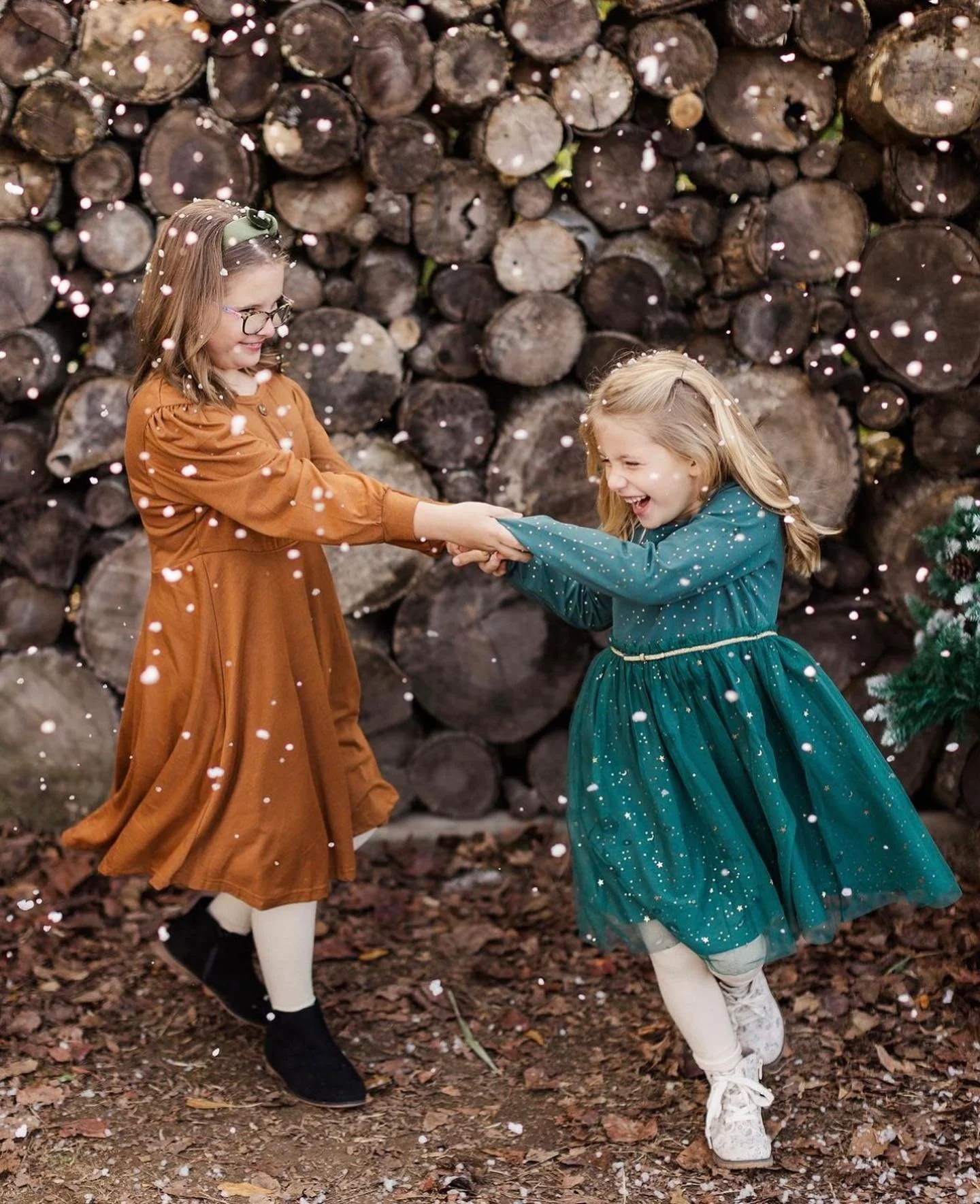 winter - log wall - 24.jpg