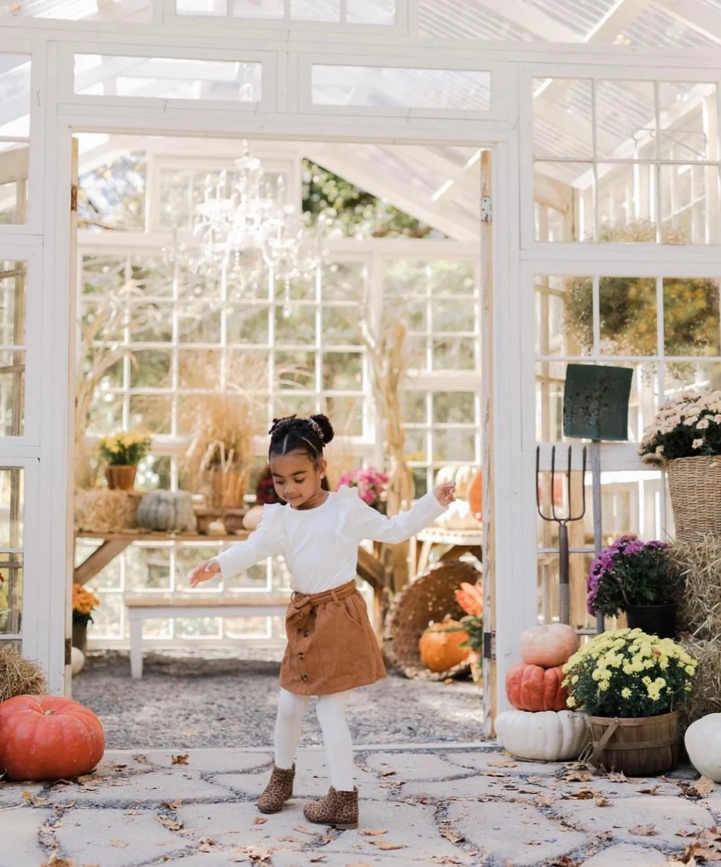 fall - greenhouse - 3.jpg