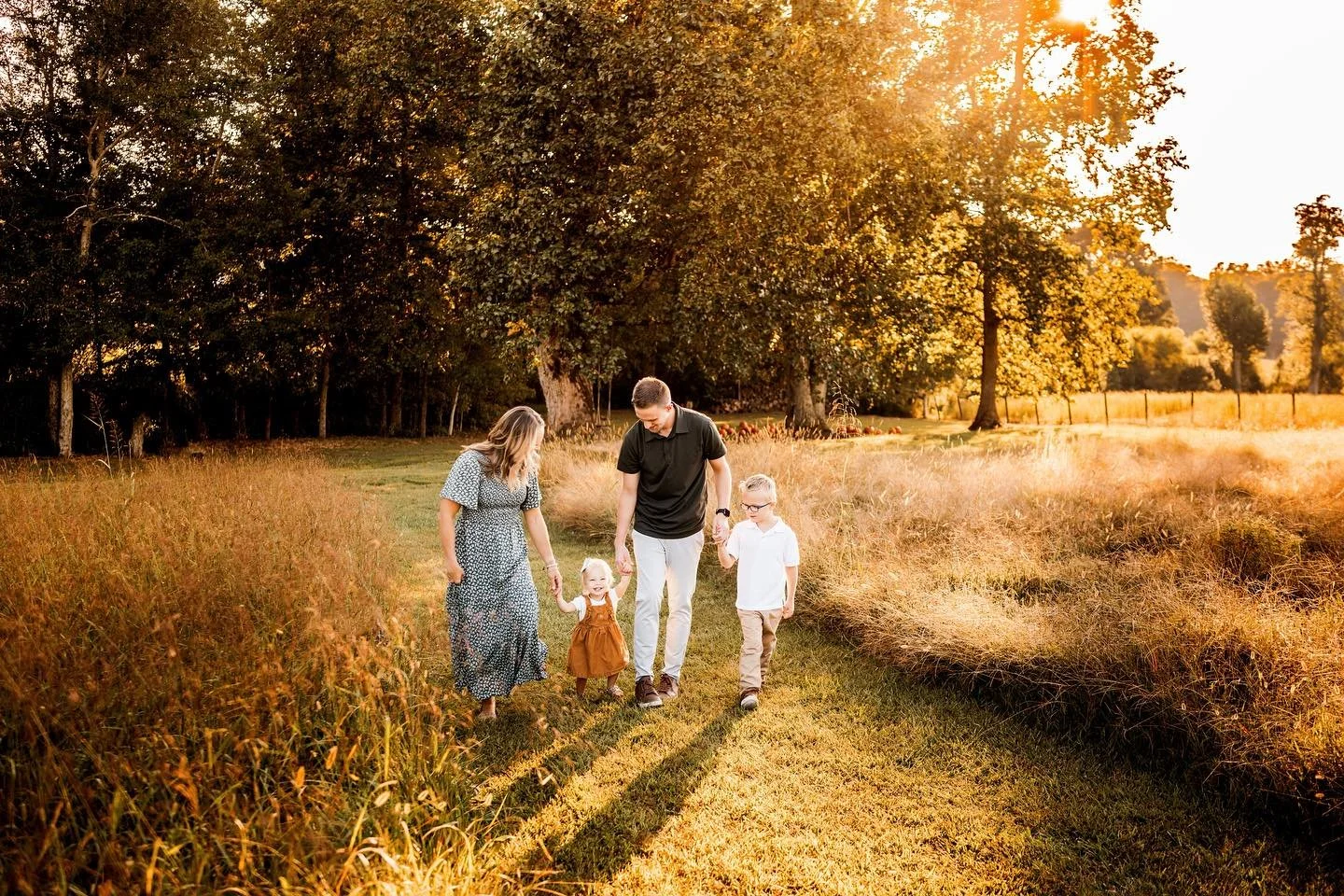 fall - field - 4.jpg