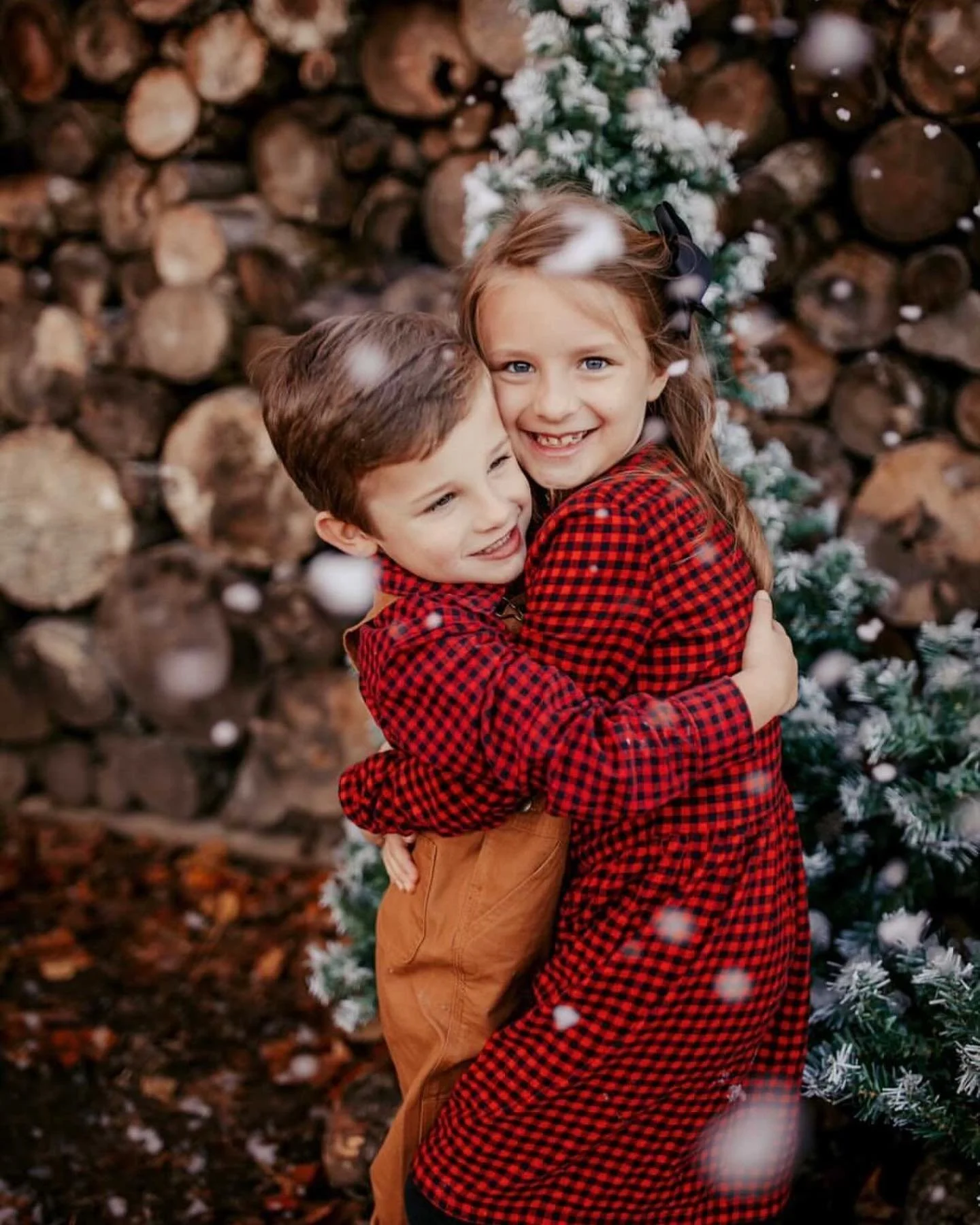 winter - log wall - 13.jpg