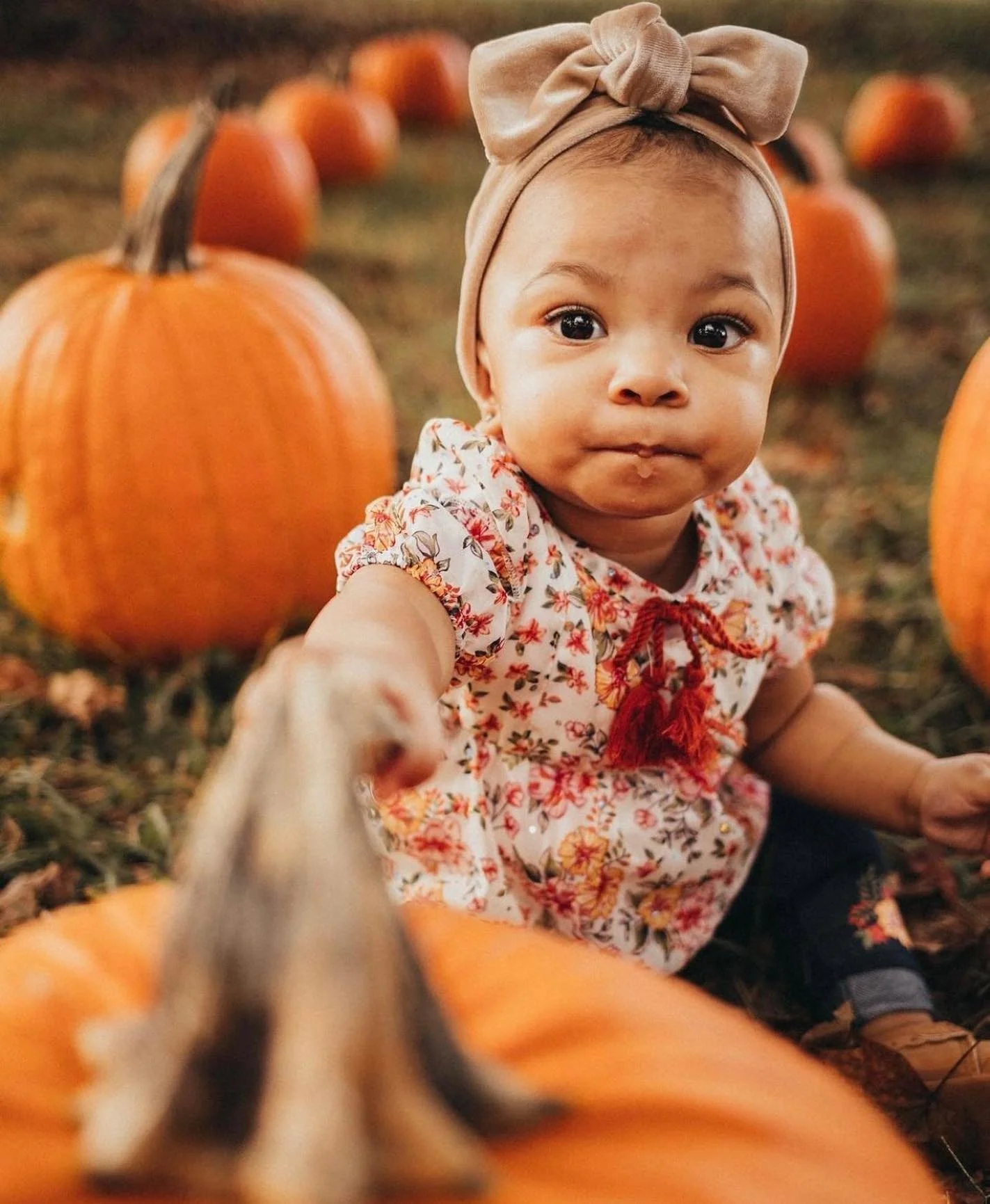 fall - pumpkin patch - 7.jpg