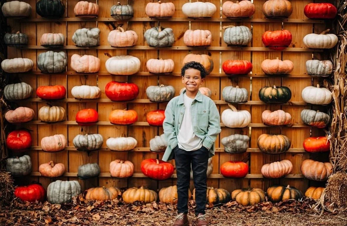 fall - pumpkin wall - 2.jpg