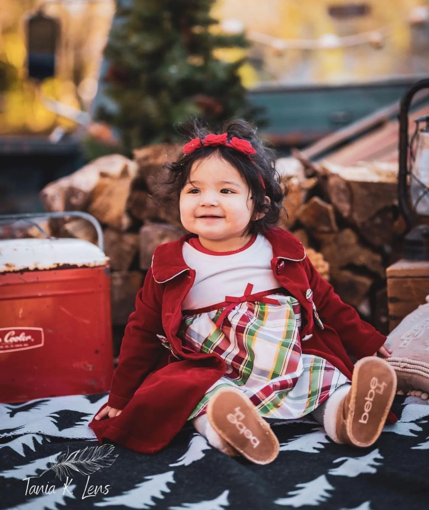 winter - chrustmas truck - 3.jpg