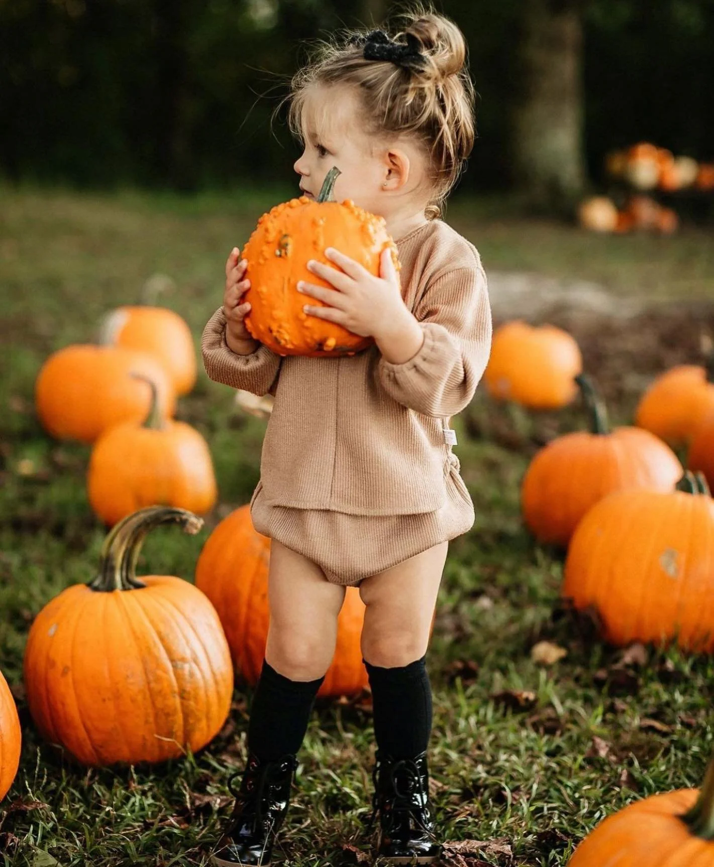 fall - pumpkin patch - 2.jpg