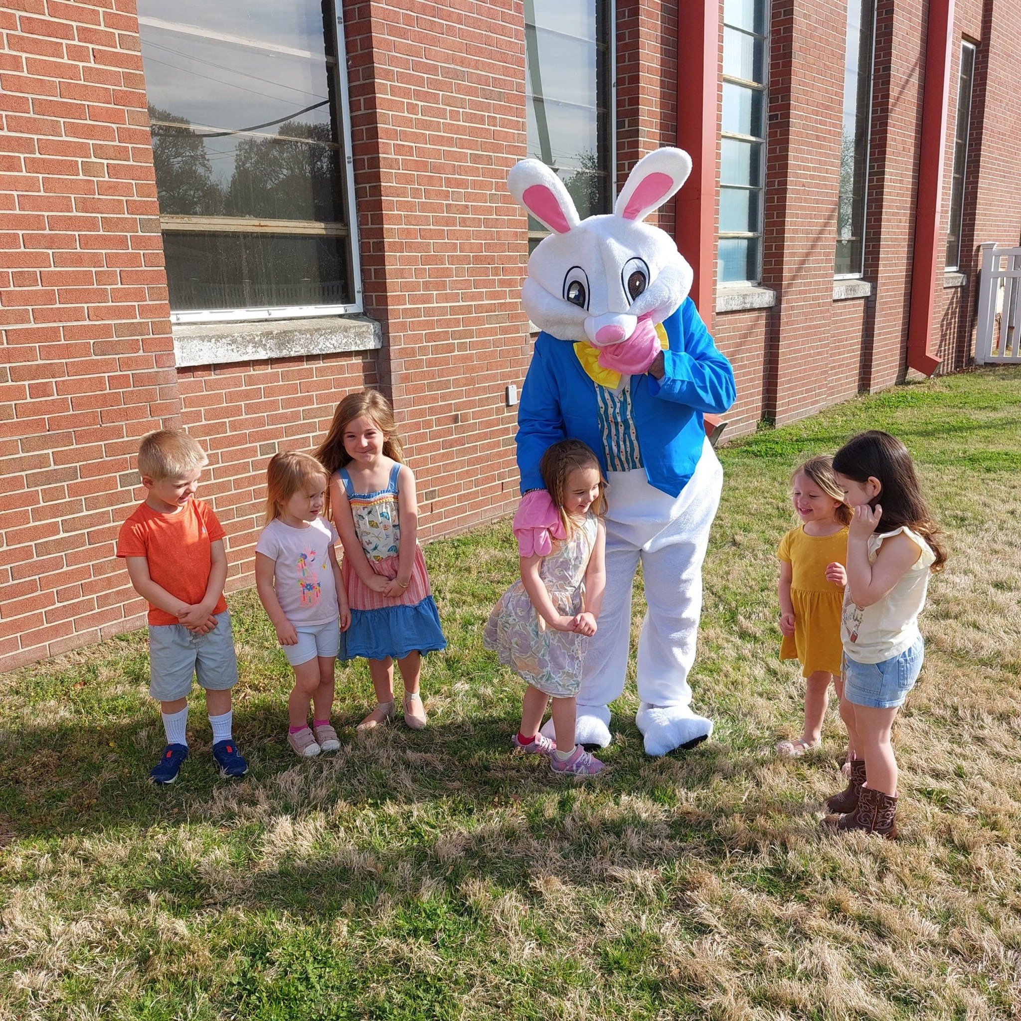 bunny.jpg