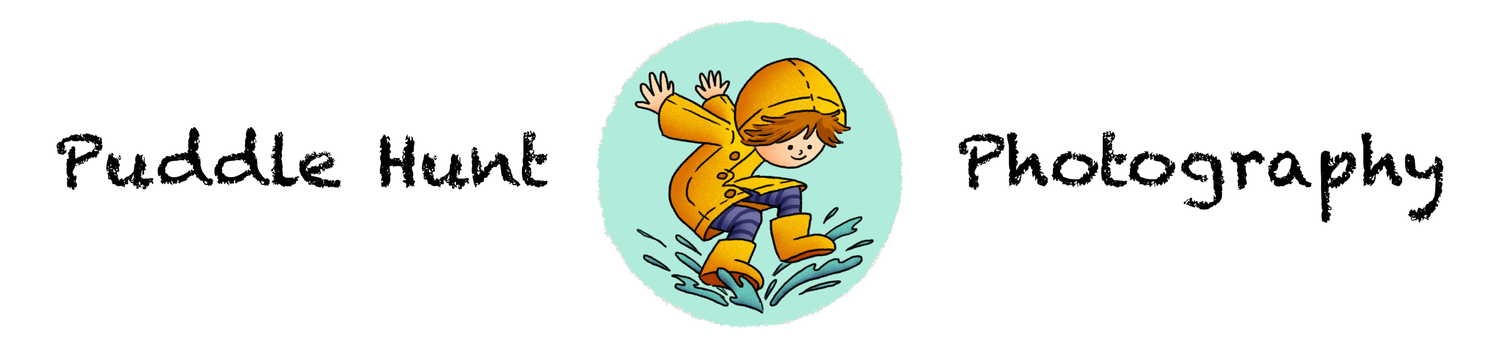 Puddle Hunt Photography