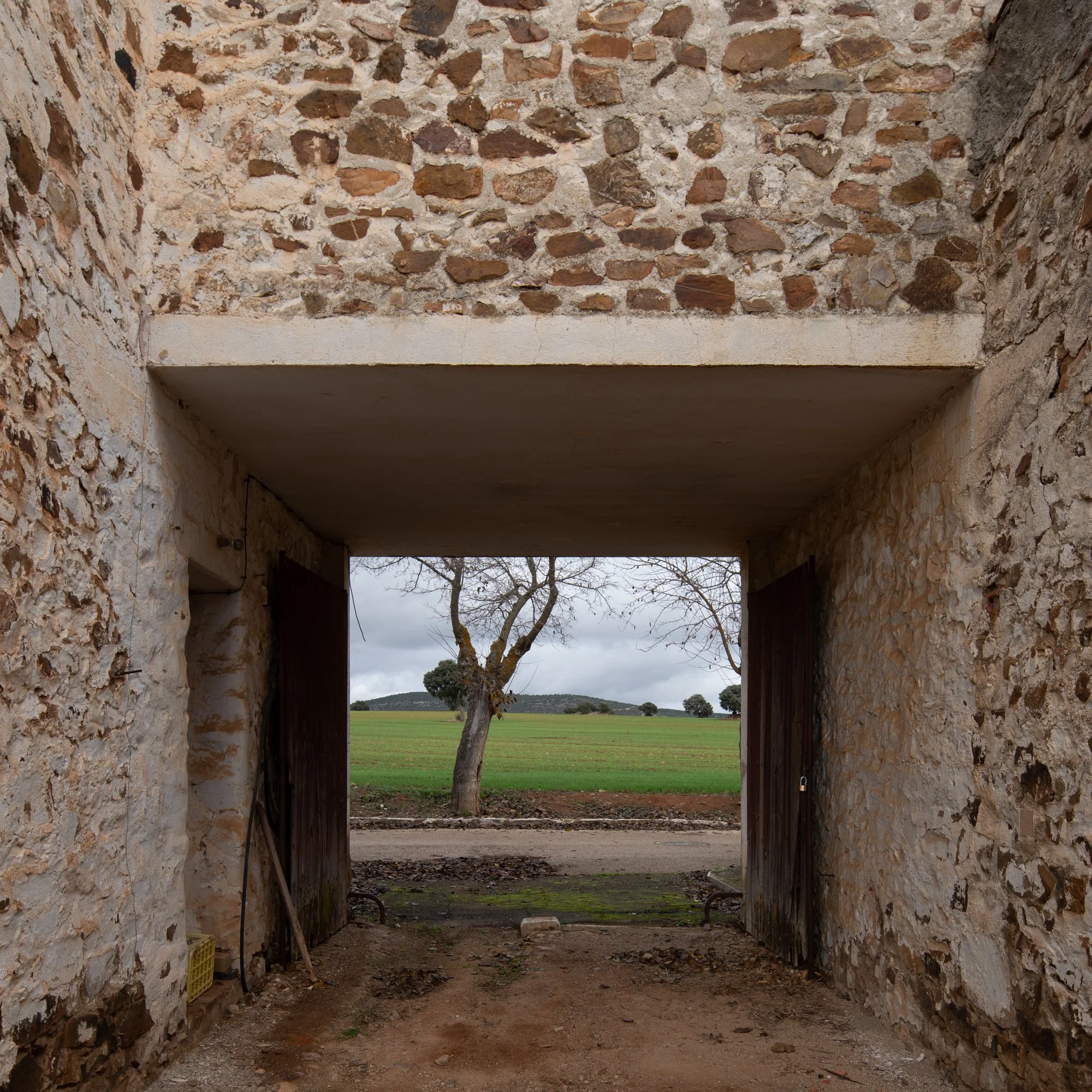 QUINTALBA - William Mulvihill -10.jpg