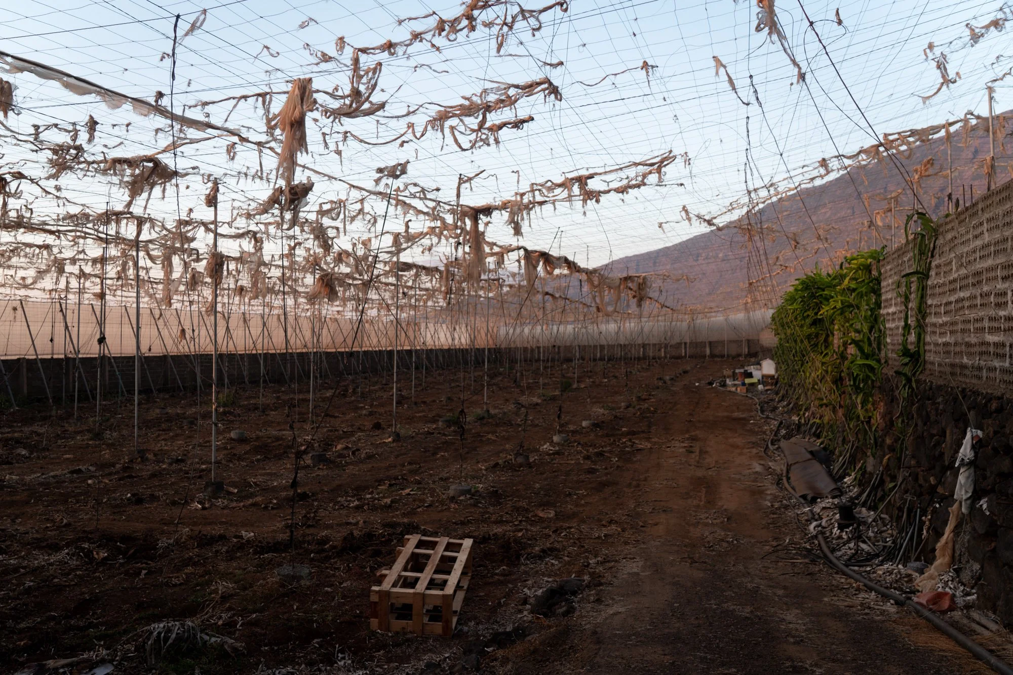 Agrarian Obsolescence - El Hierro - William Mulvihill -72.jpg