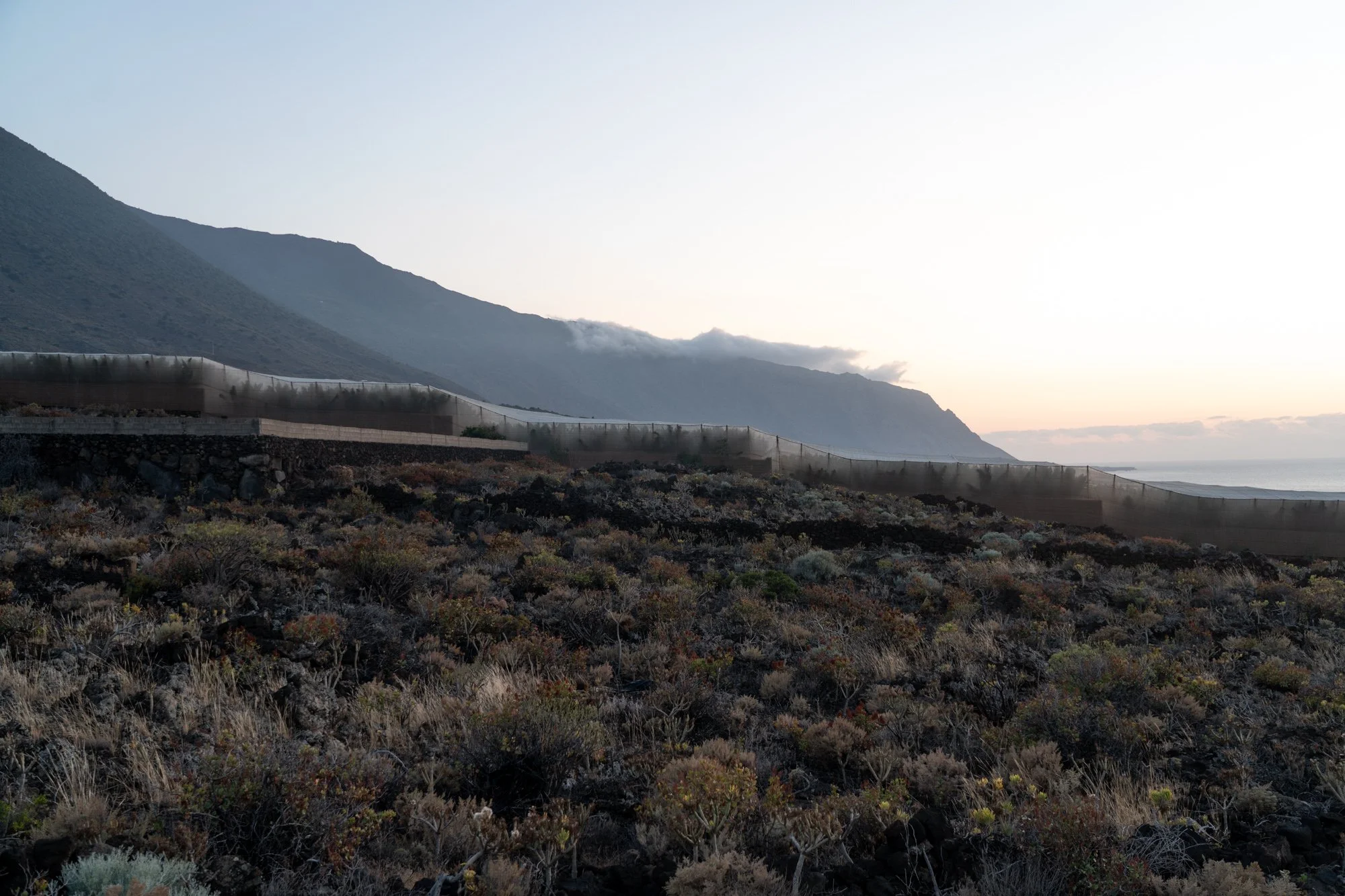 Agrarian Obsolescence - El Hierro - William Mulvihill -78.jpg