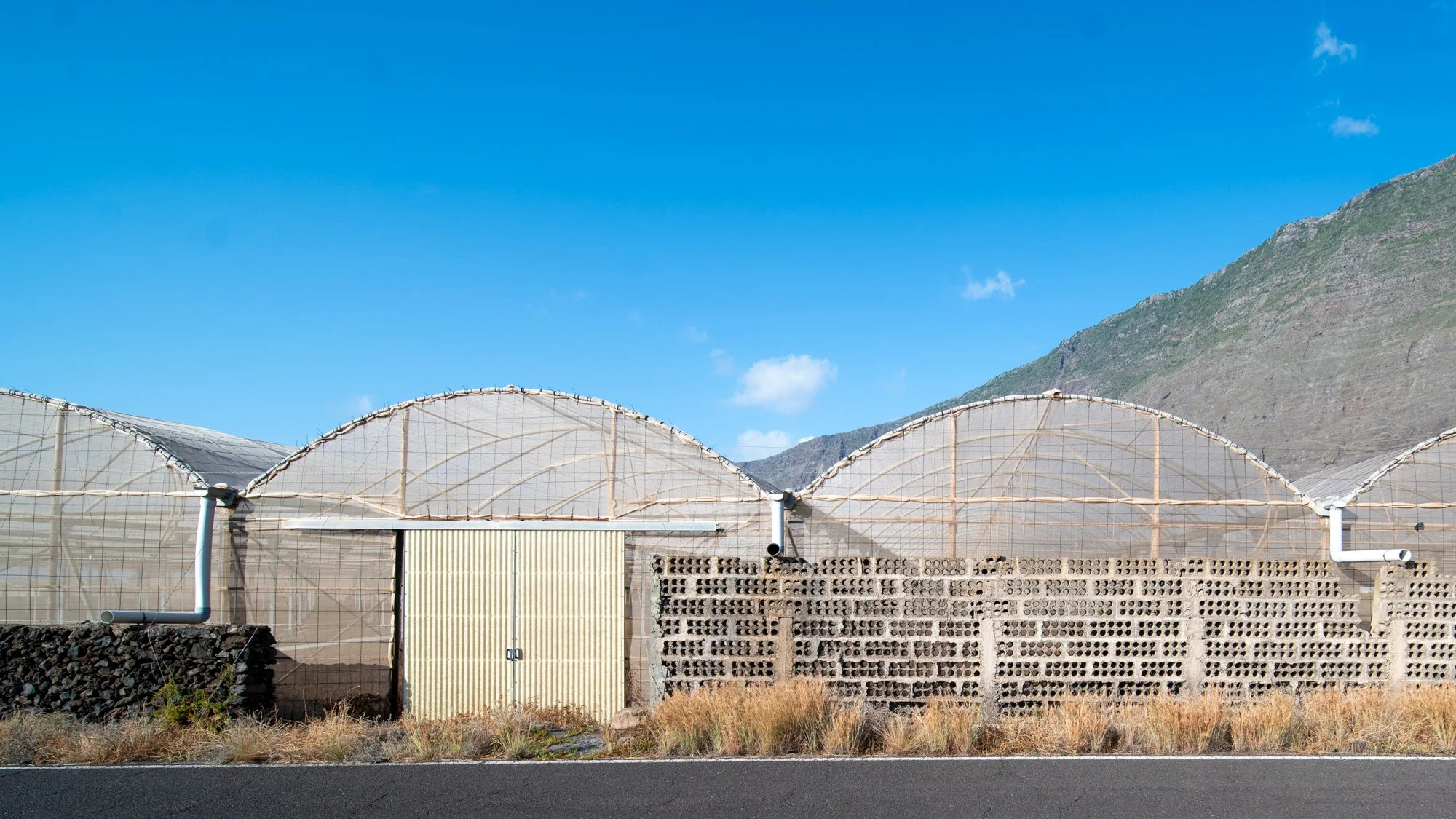 Agrarian Obsolescence - El Hierro - William Mulvihill -23.jpg