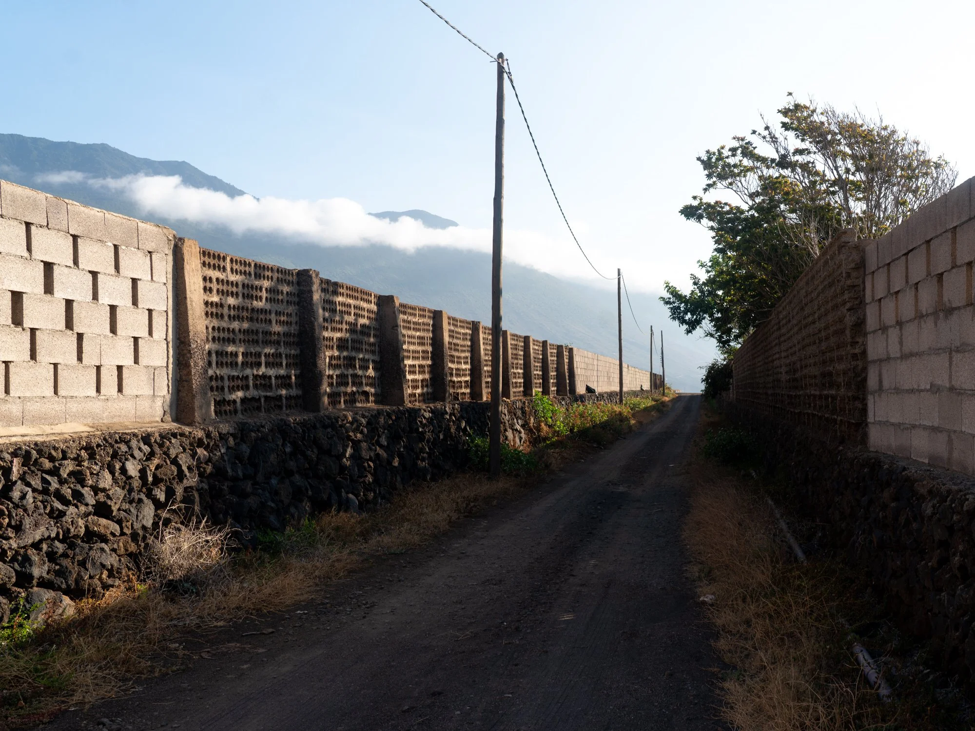 Agrarian Obsolescence - El Hierro - William Mulvihill -37.jpg