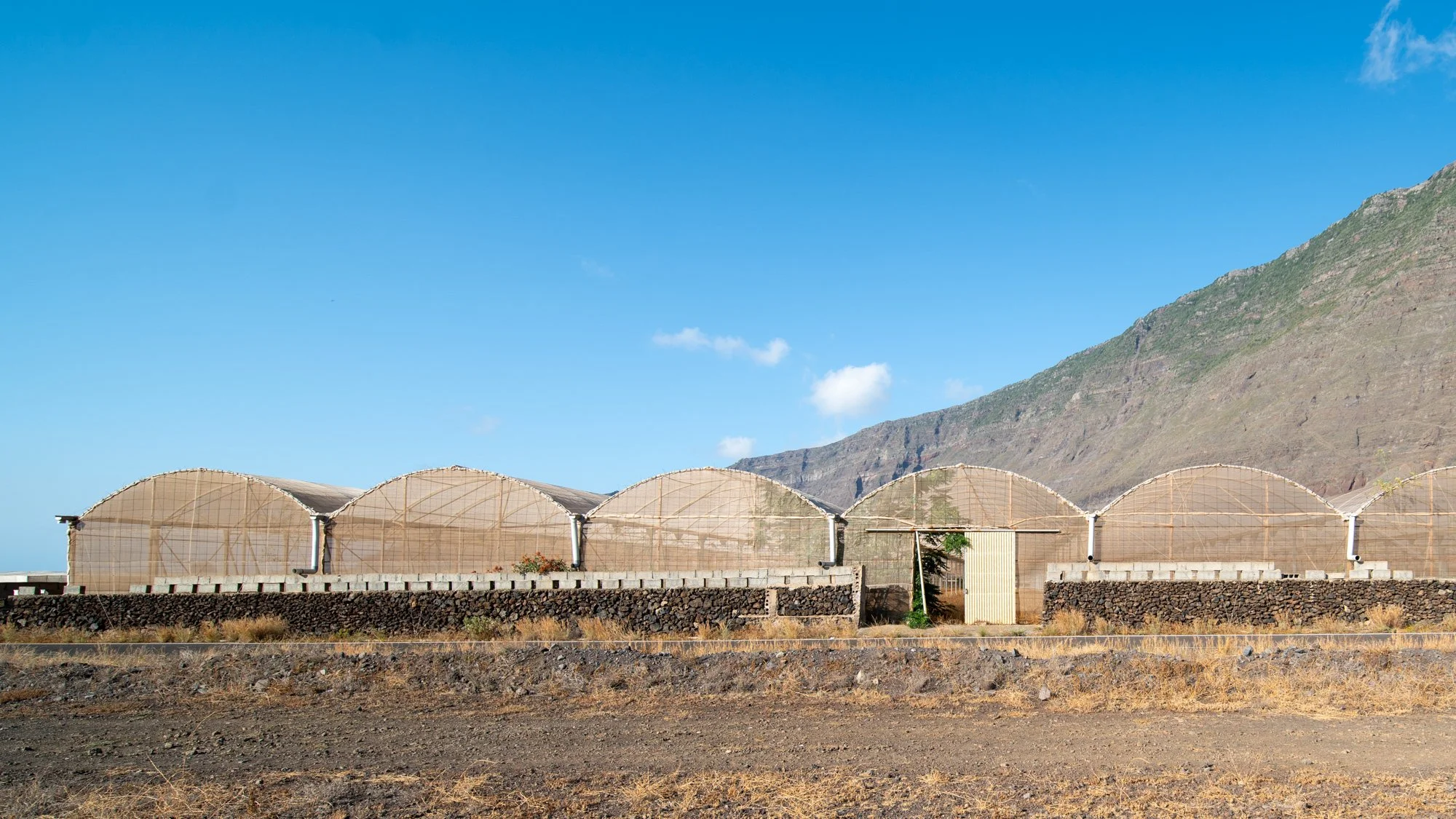 Agrarian Obsolescence - El Hierro - William Mulvihill -22.jpg