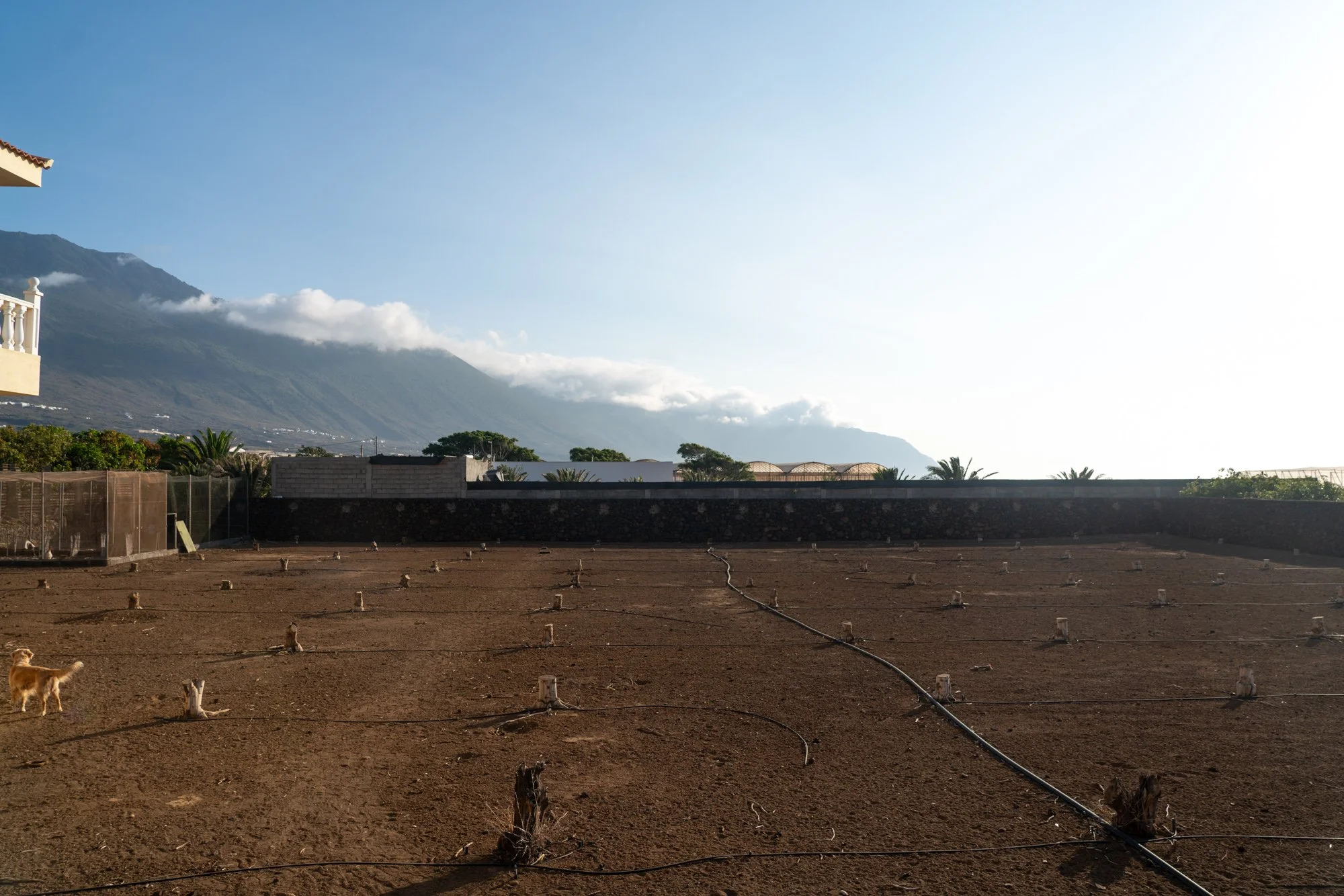 Agrarian Obsolescence - El Hierro - William Mulvihill -45.jpg