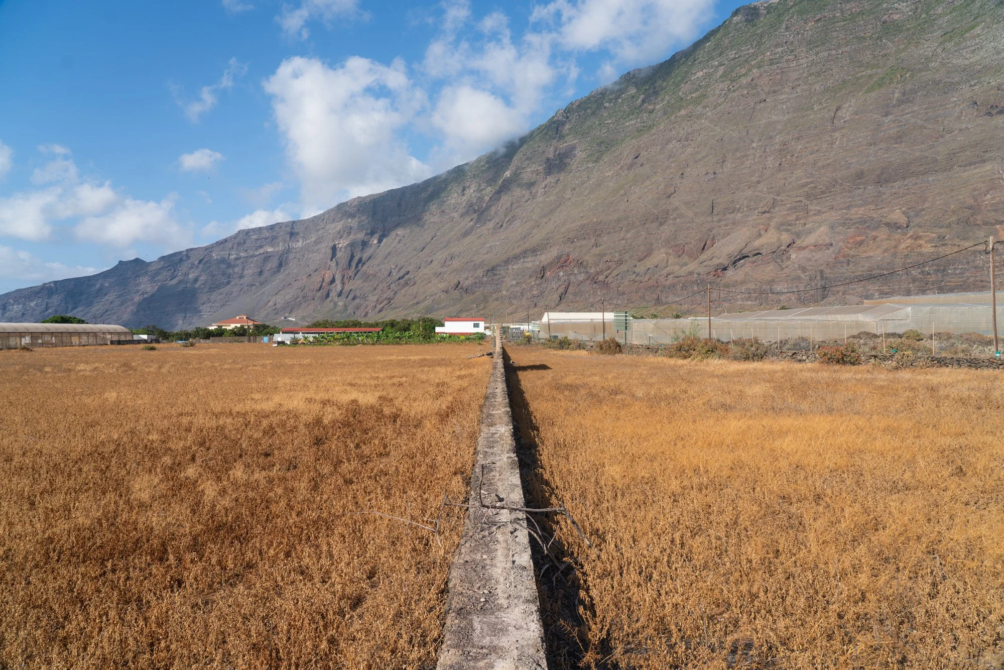 Agrarian Obsolescence - El Hierro - William Mulvihill -2.jpg