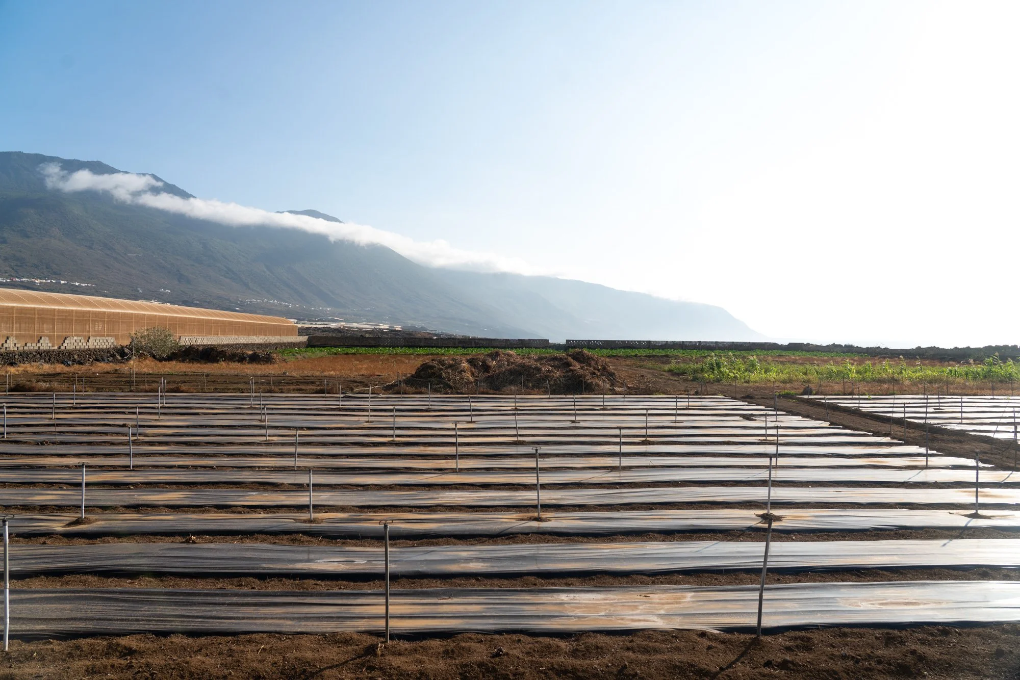 Agrarian Obsolescence - El Hierro - William Mulvihill -31.jpg