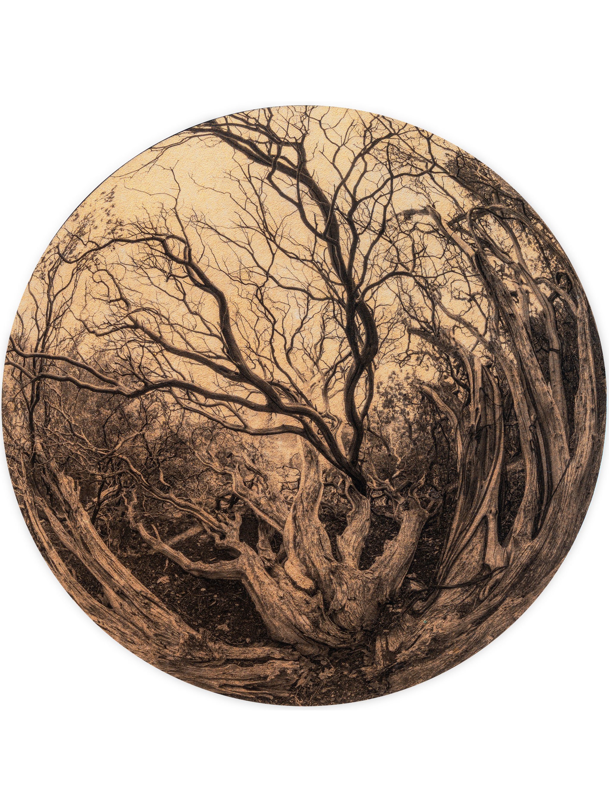 Manzanita in the Round