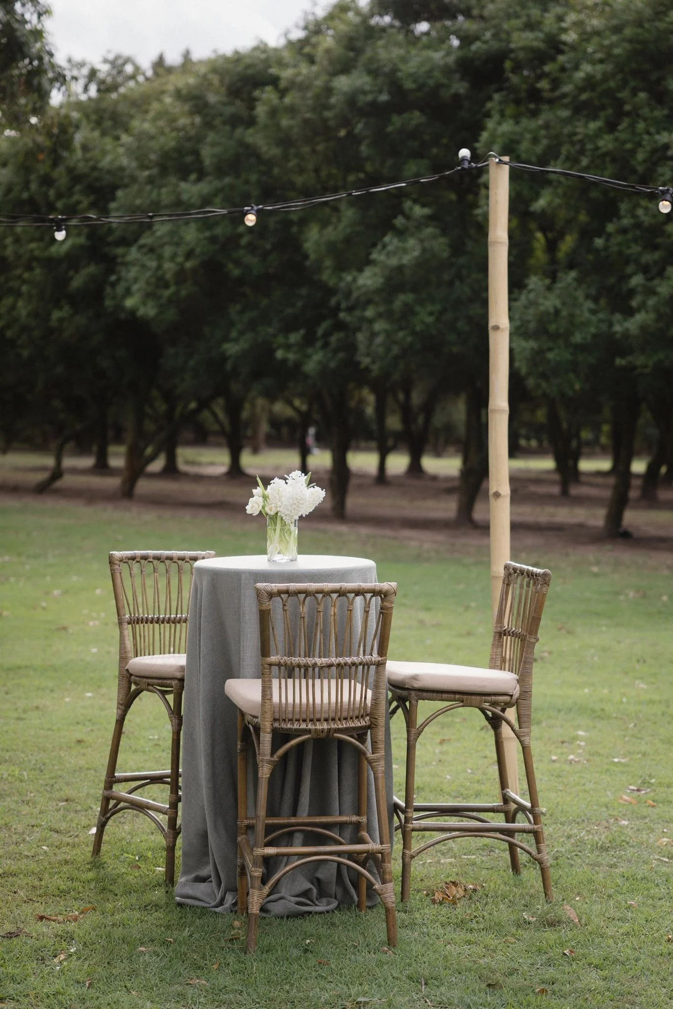 Cocktail Hour - Burrows Wedding-7.jpg