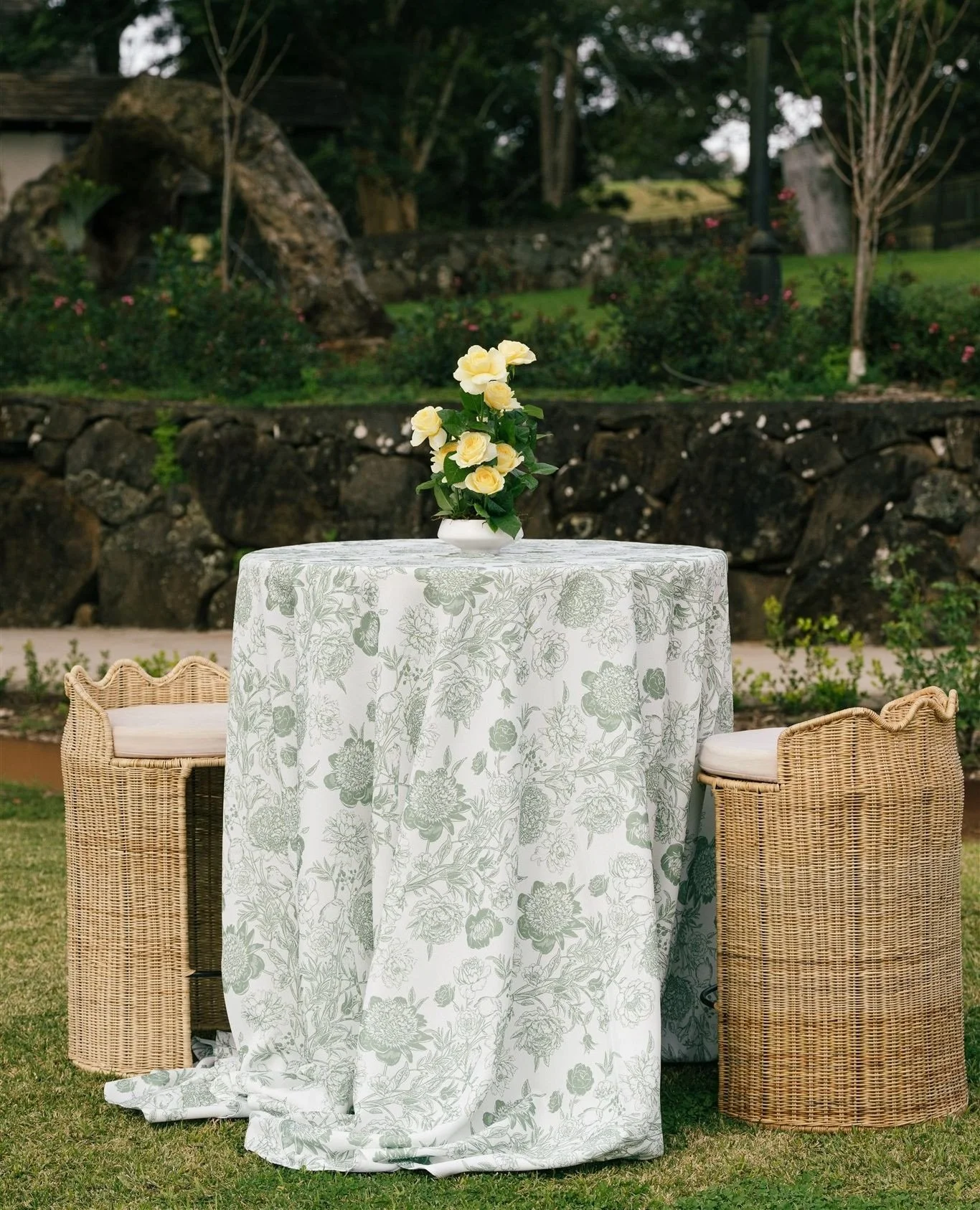 Cocktails dressed for the occasion | Maleny Country Estate Photoshoot 2025🍸️⁠
⁠
Planner, Stylist &amp; Stationer: @lovebirdweddings ⁠
Florist: @mondofloraldesigns ⁠
Venue: @malenycountryestate @malenyweddings ⁠
Bar: @thebartendersnoosa ⁠
Catering: @