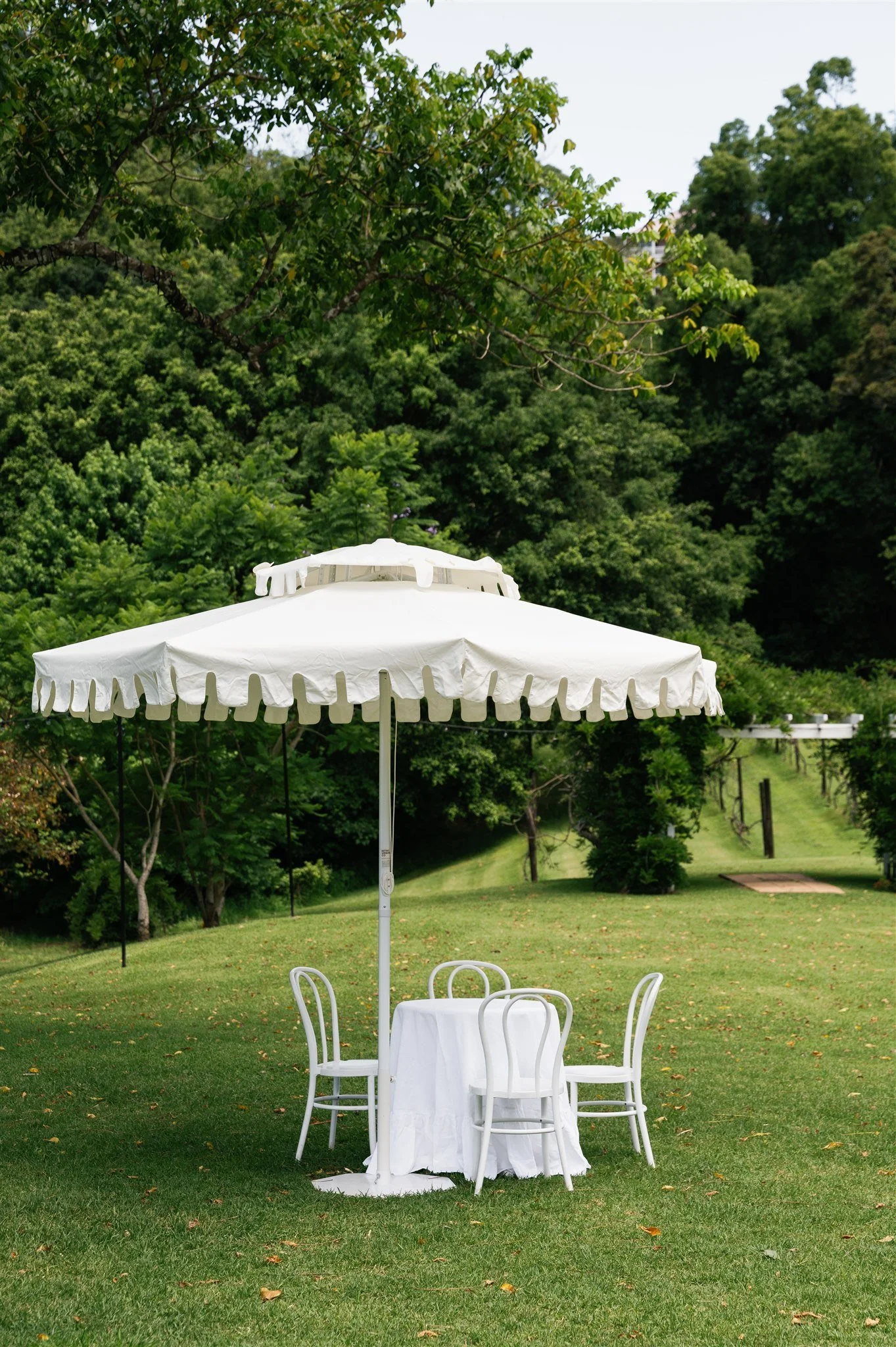Virginia Jobe Wedding Maleny Manor-768.jpg